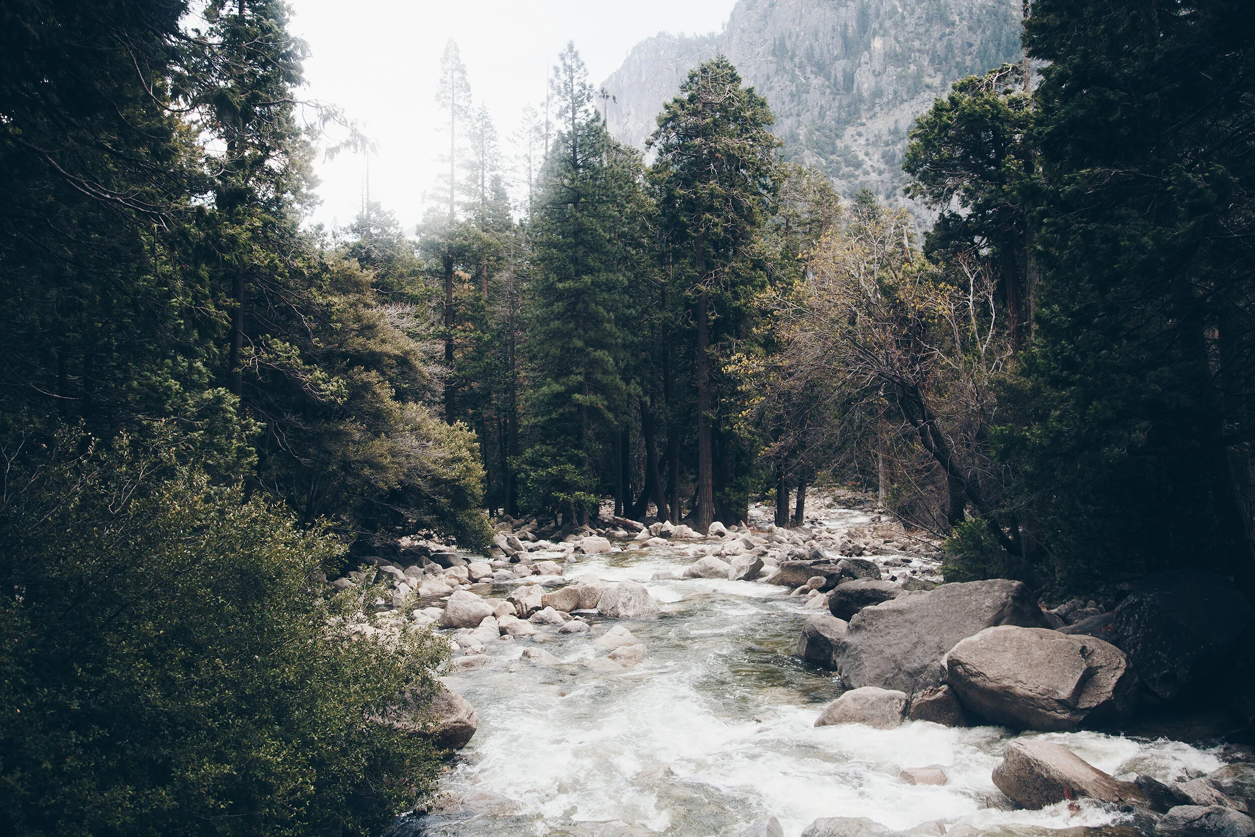 IMG_5518-sol.-a tamaño.jpg