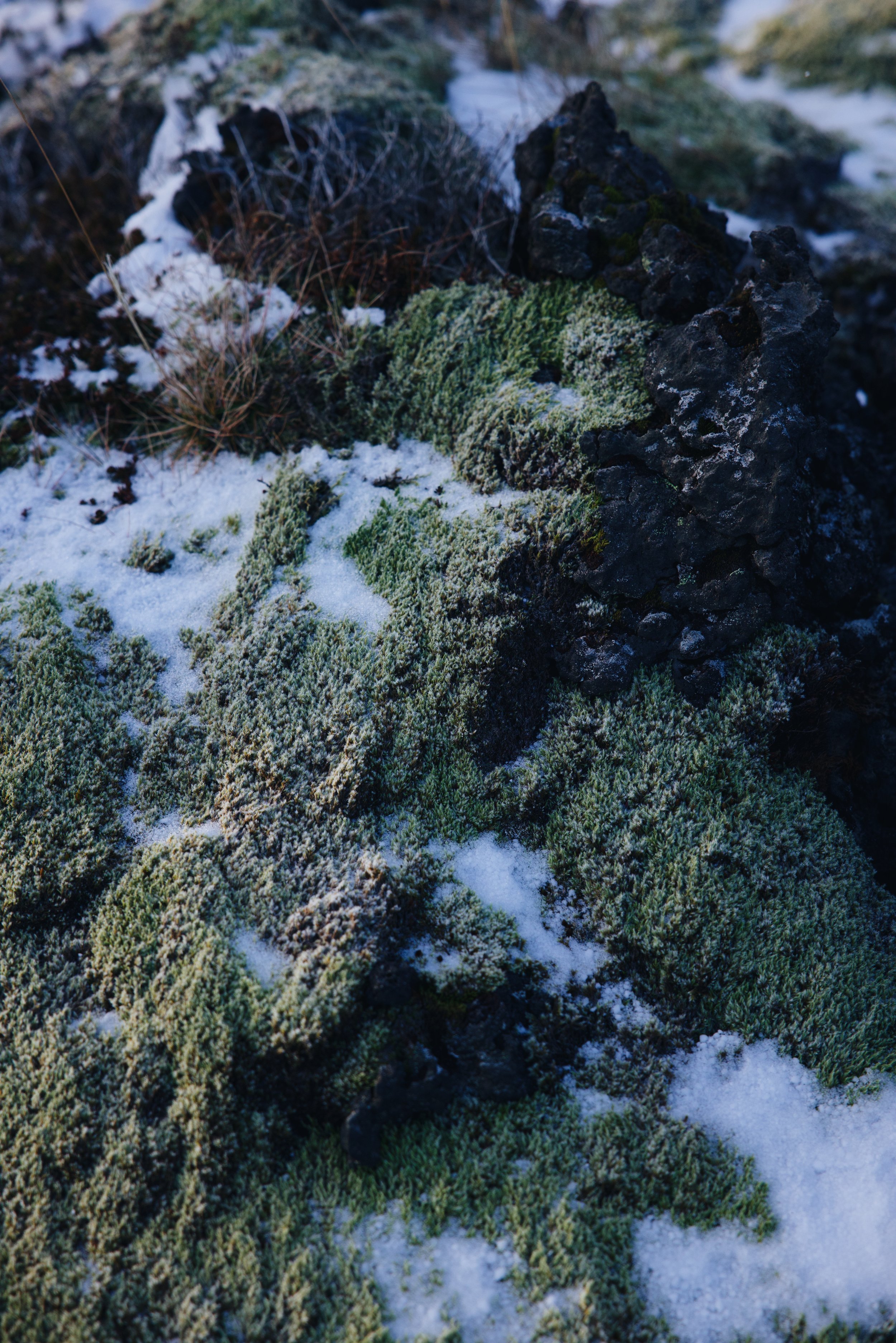 083A9210_VSCO.jpg