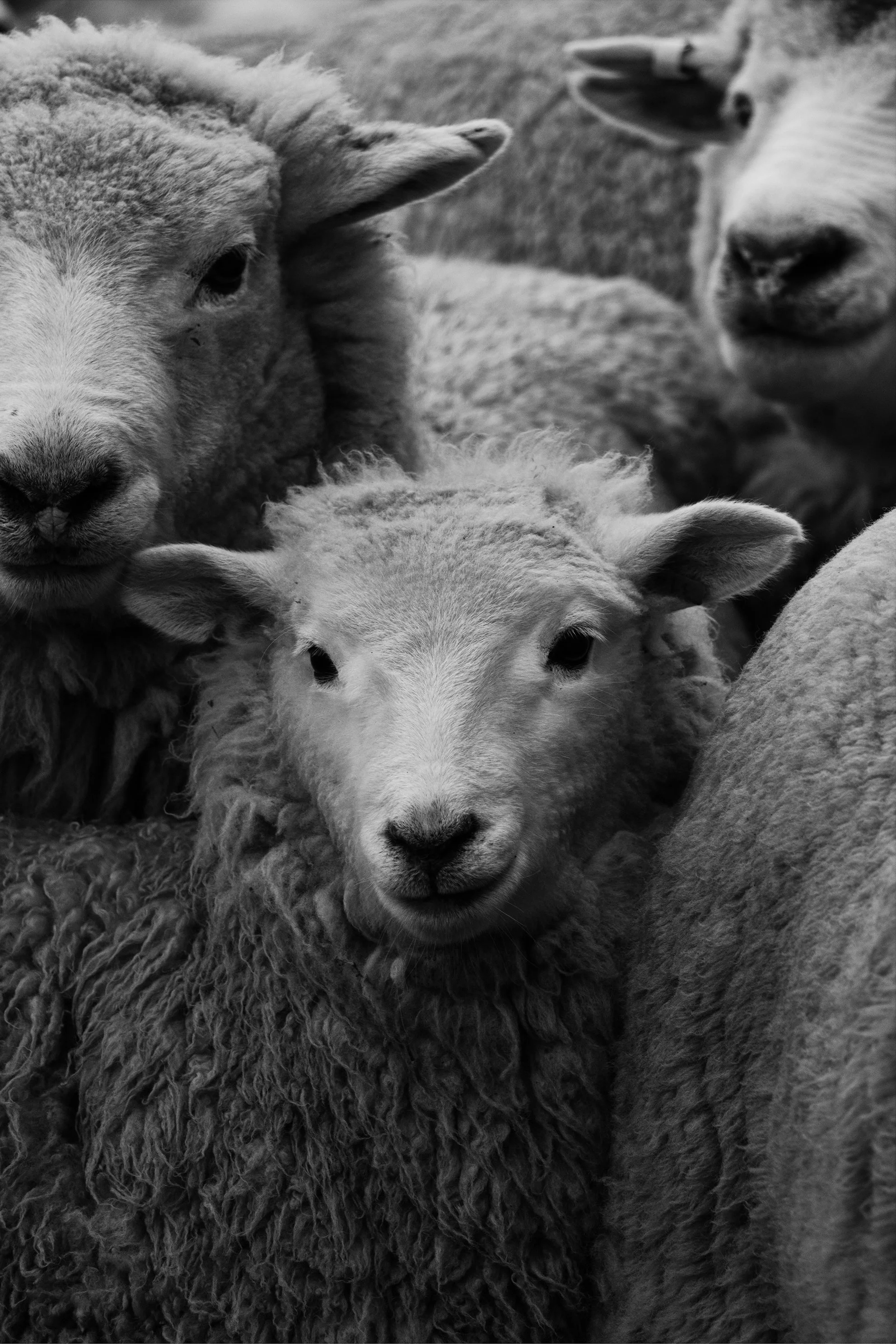 083A9100-2_VSCO 2.jpg