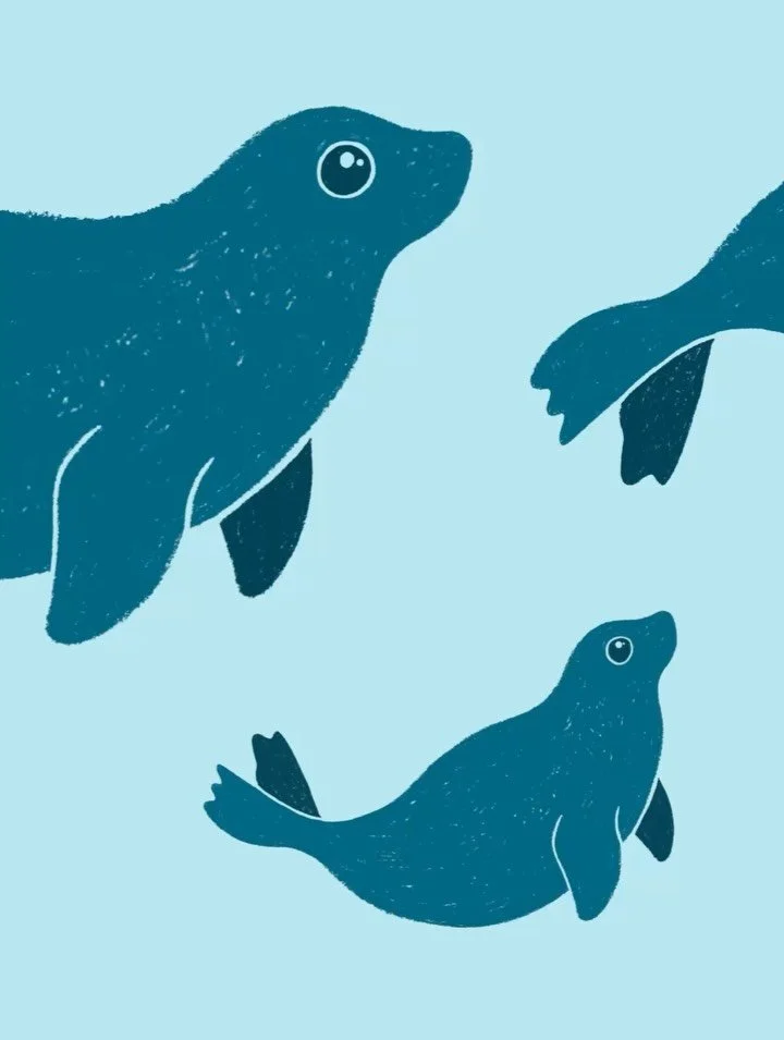 The new Wadden Sea World Heritage Centre in Lauwersoog is the gateway to the Netherlands&rsquo; only natural UNESCO site.

As part of the visual identity, we developed a custom illustration style to give WEC a distinctive voice. Layered, soft-toned, 