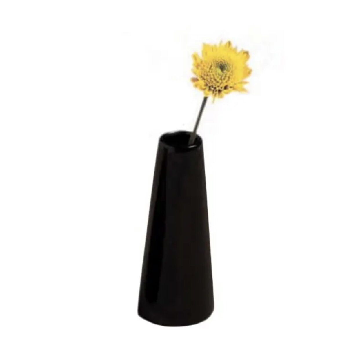 89564C5A-8898-4FDF-A35B-6DE3148928D1