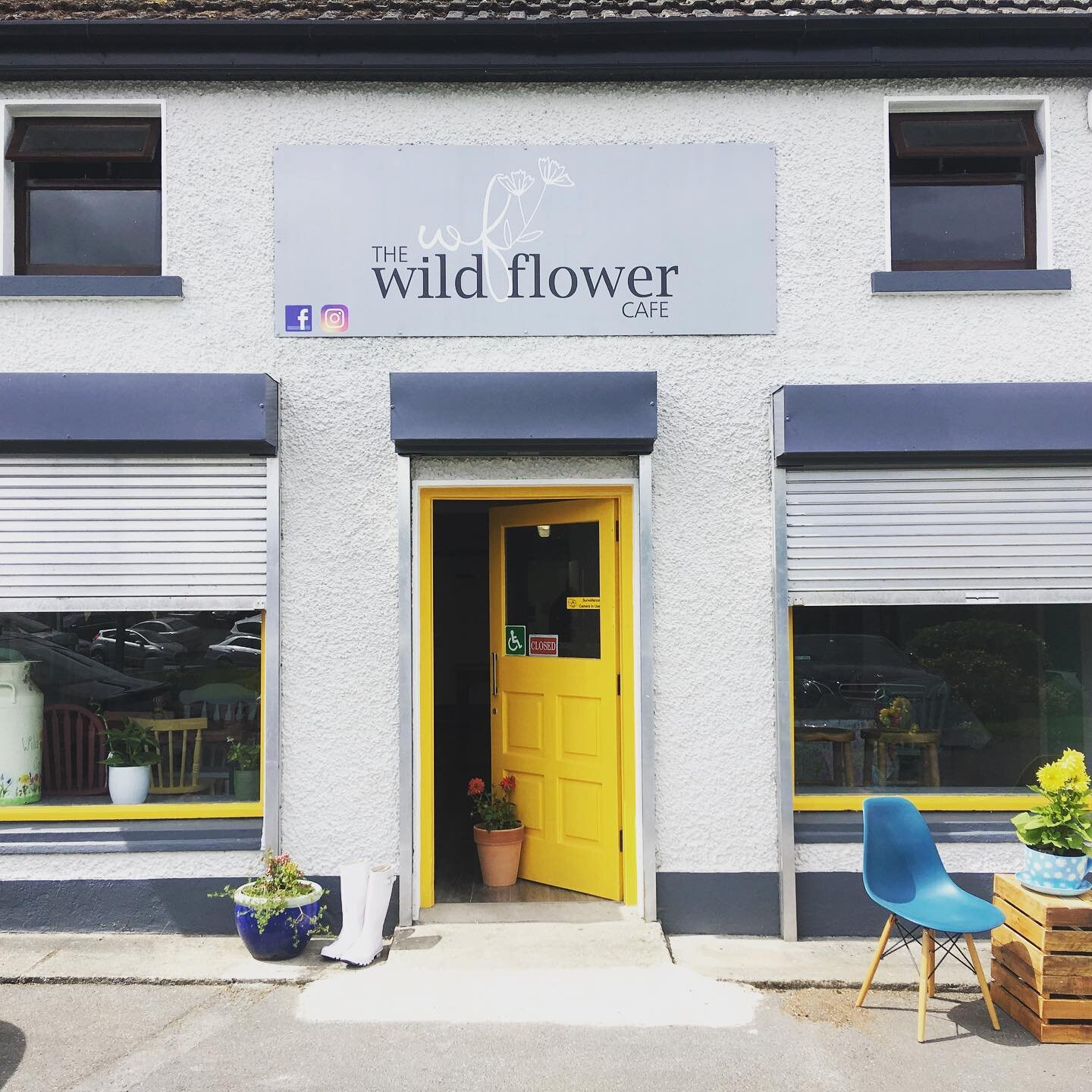 Congratulations on the opening of the wildflower cafe in rathvilly! 
Looking good with an 8x3 printed and laminated dibond aluminium sign from ZSigns!
#signage #cafe #newlook