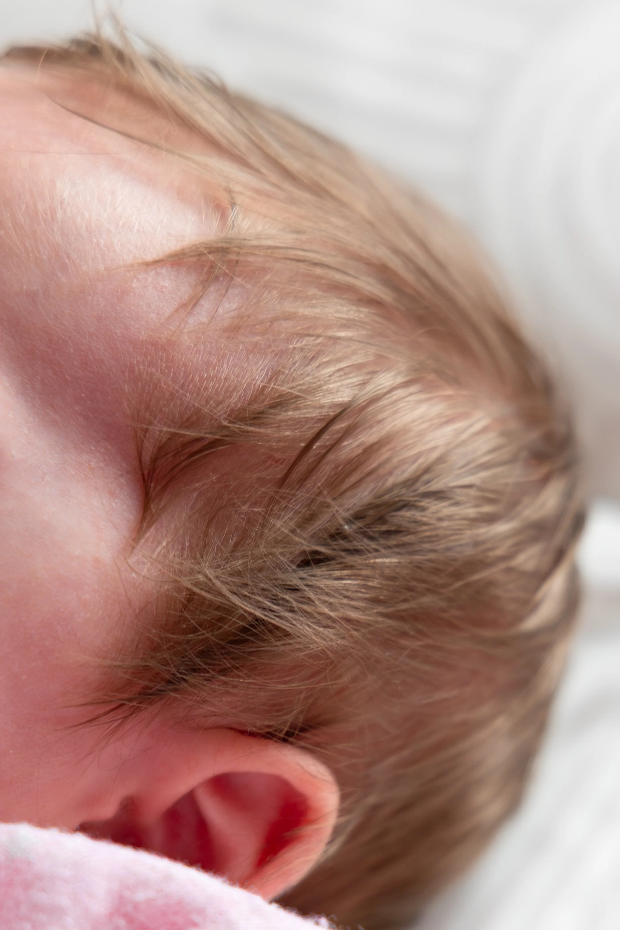 EmilySercombePhotographyBangorNorthernIrelandNewbornFamilyShoot-51.JPG