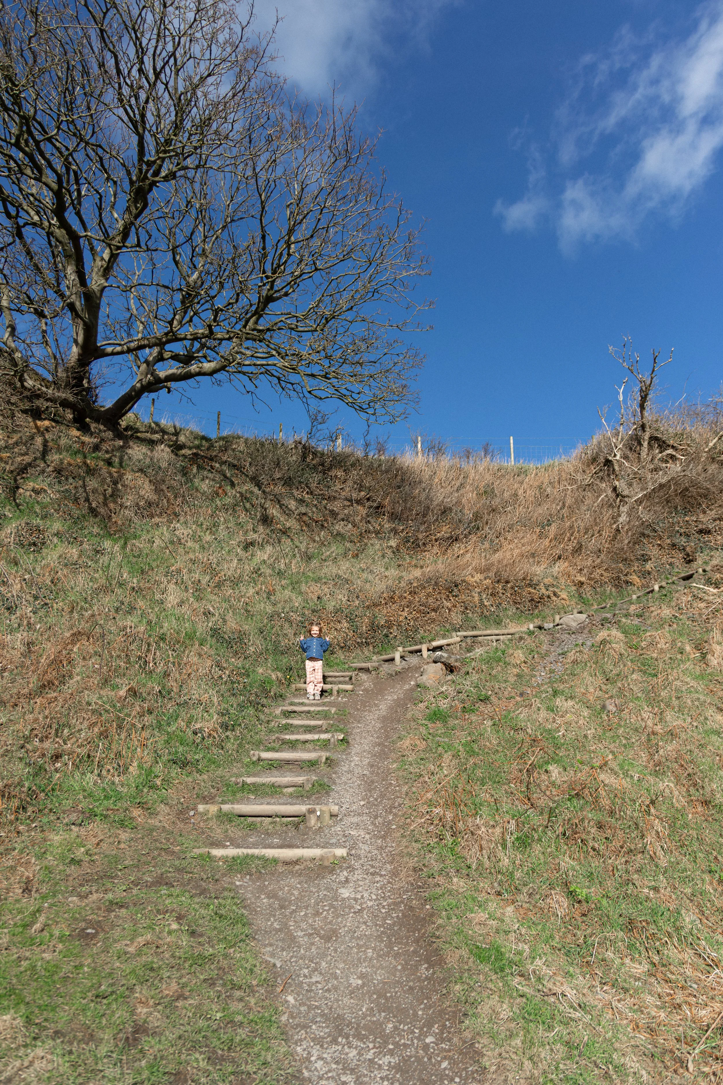 EmilySercombePhotographyDonaghadeeNorthernIrelandFamilyShoot-27.JPG