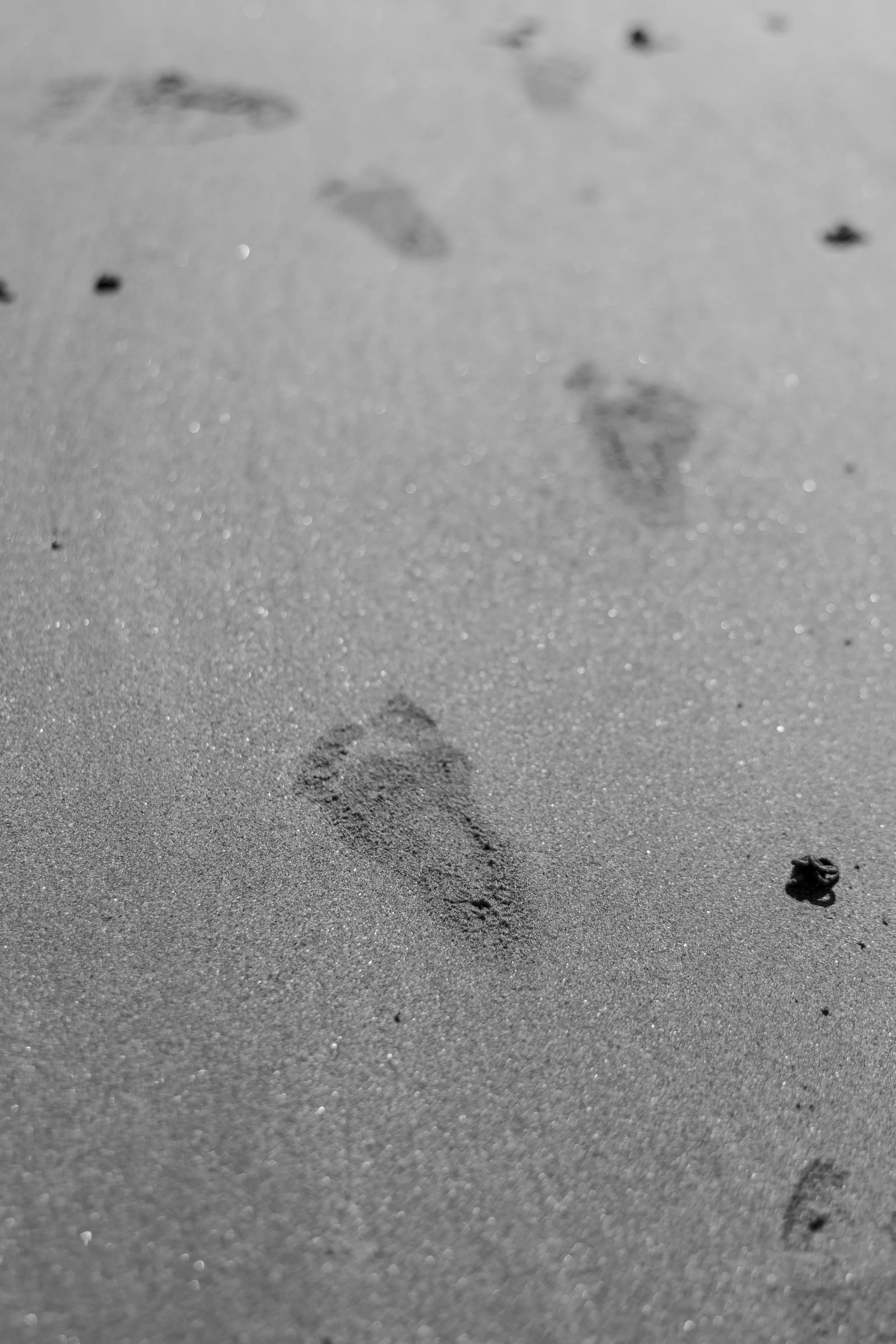 EmilySercombePhotographyFamilyShootBallywalterNorthernIreland-82.JPG