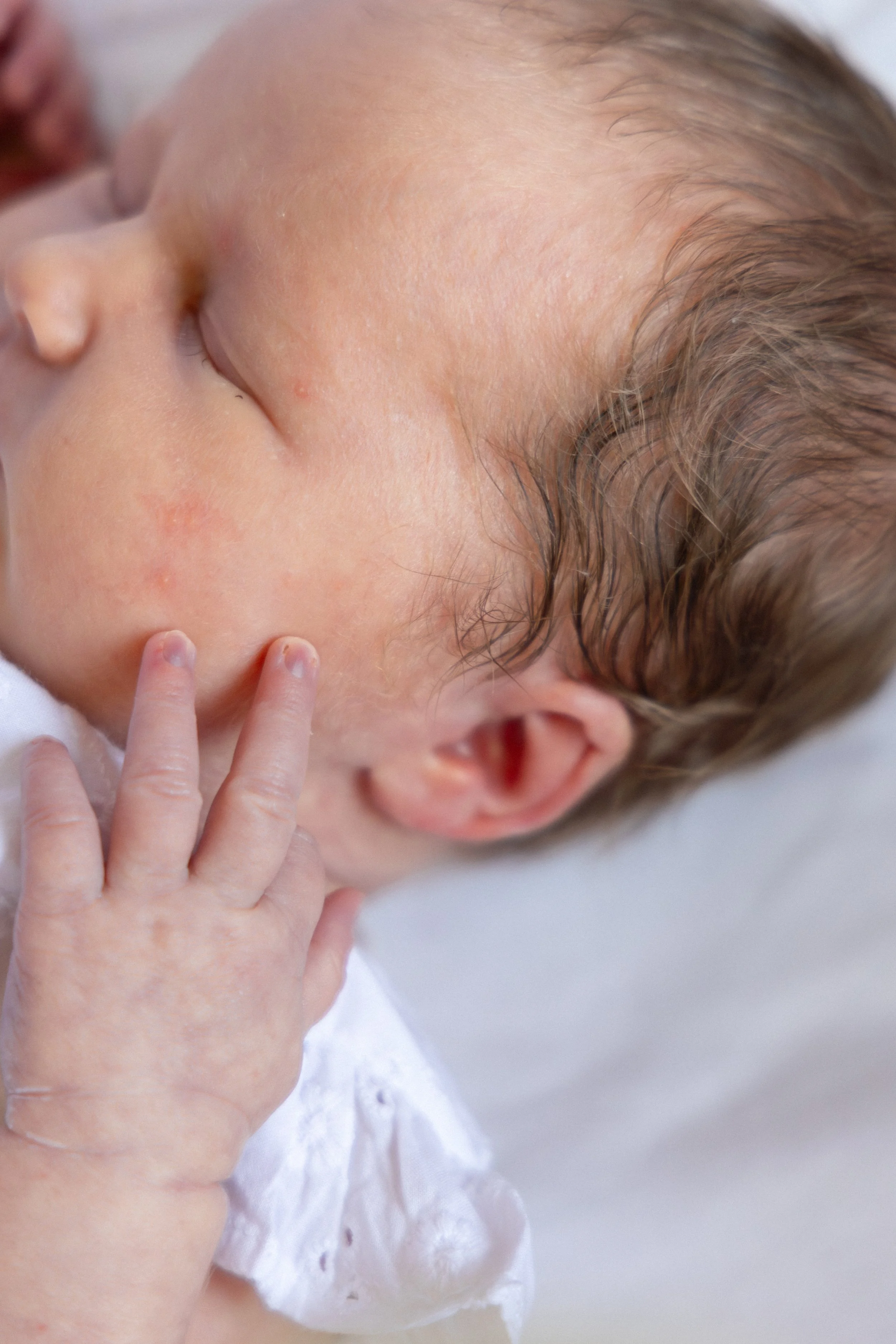 EmilySercombePhotographyFamilyShootNewbornNorthernIreland-53.JPG