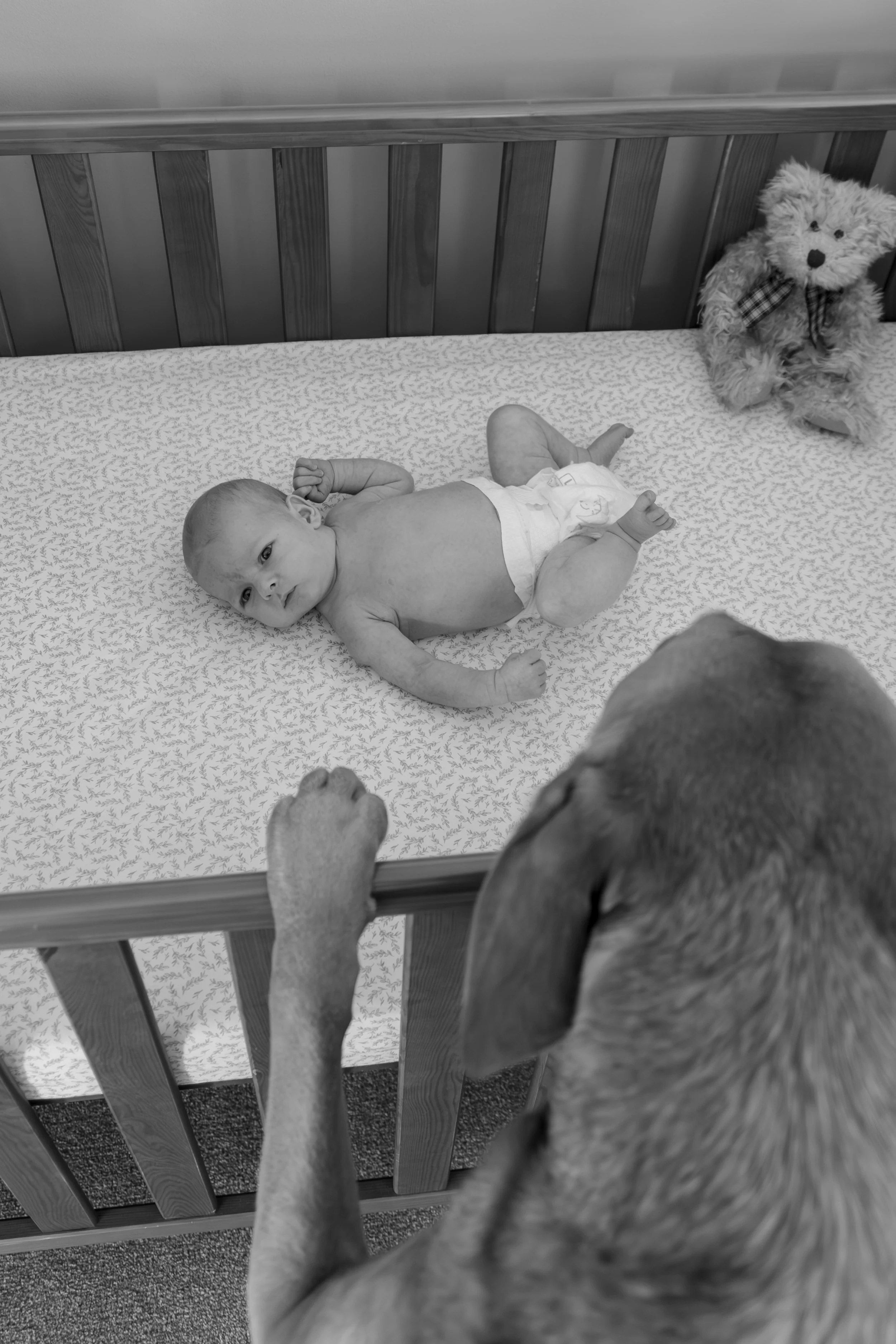 EmilySercombePhotographyNewbornFamilyShoot-110.JPG