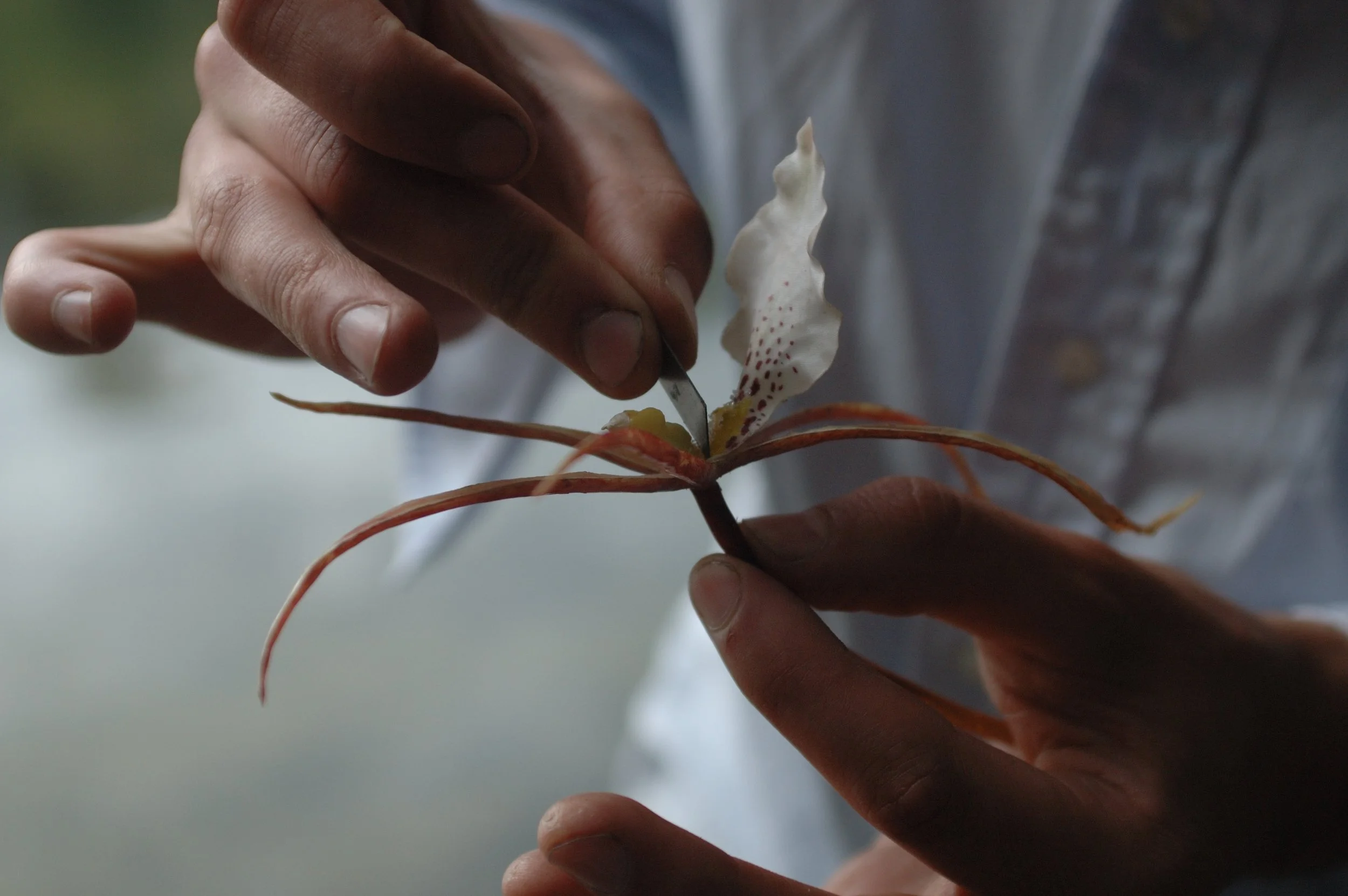 FriendsForever flower.jpg