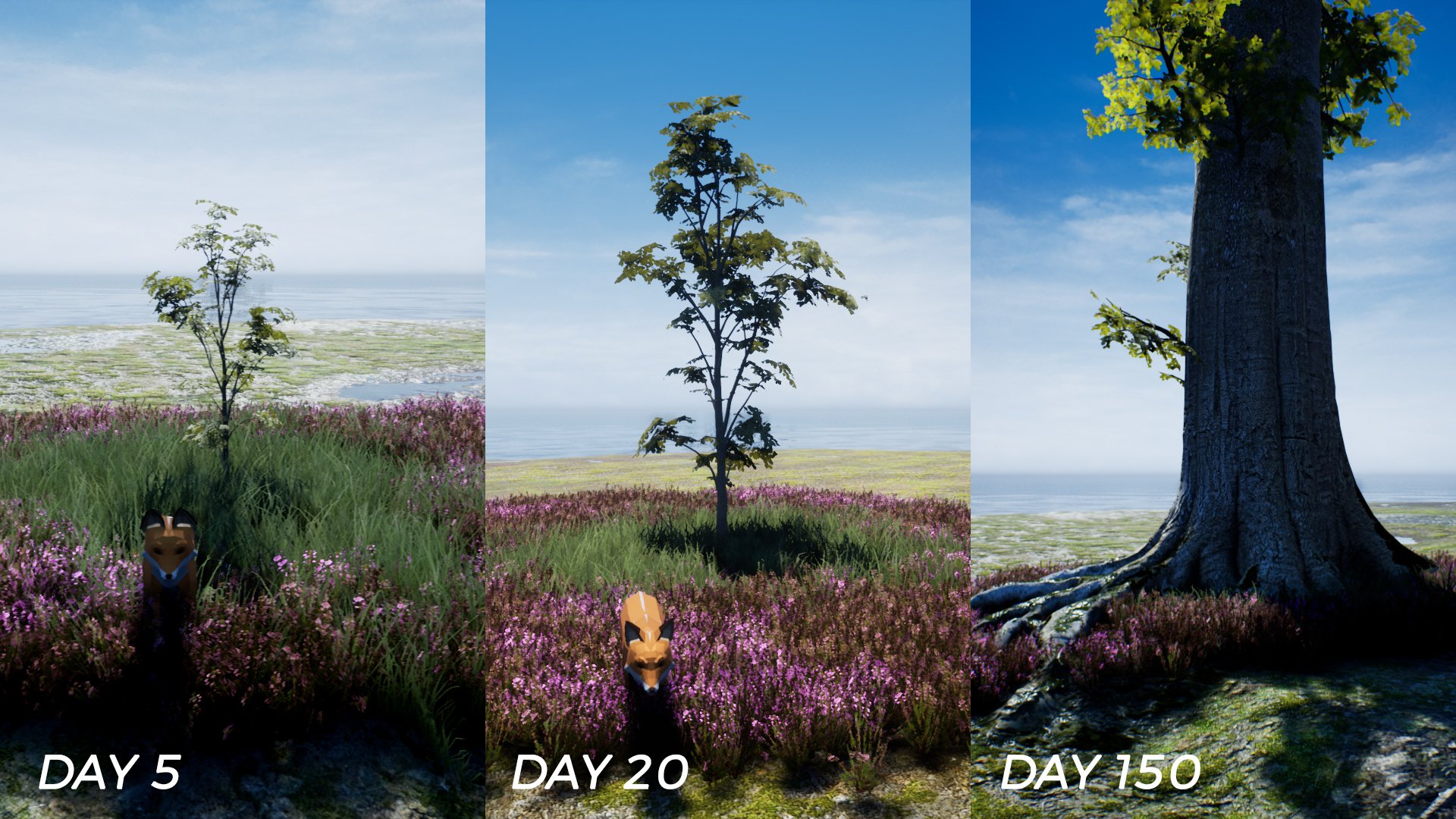 Watch as the world grows and transforms around you