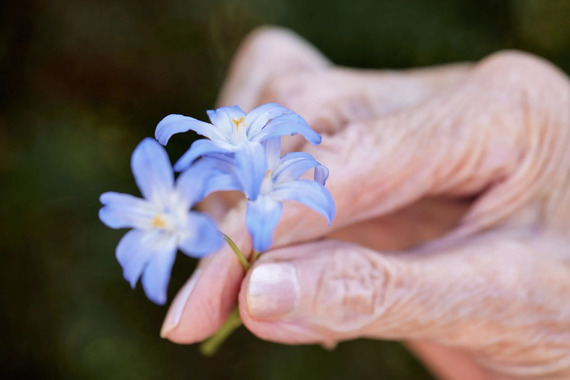 12 - spannort1248.jpg