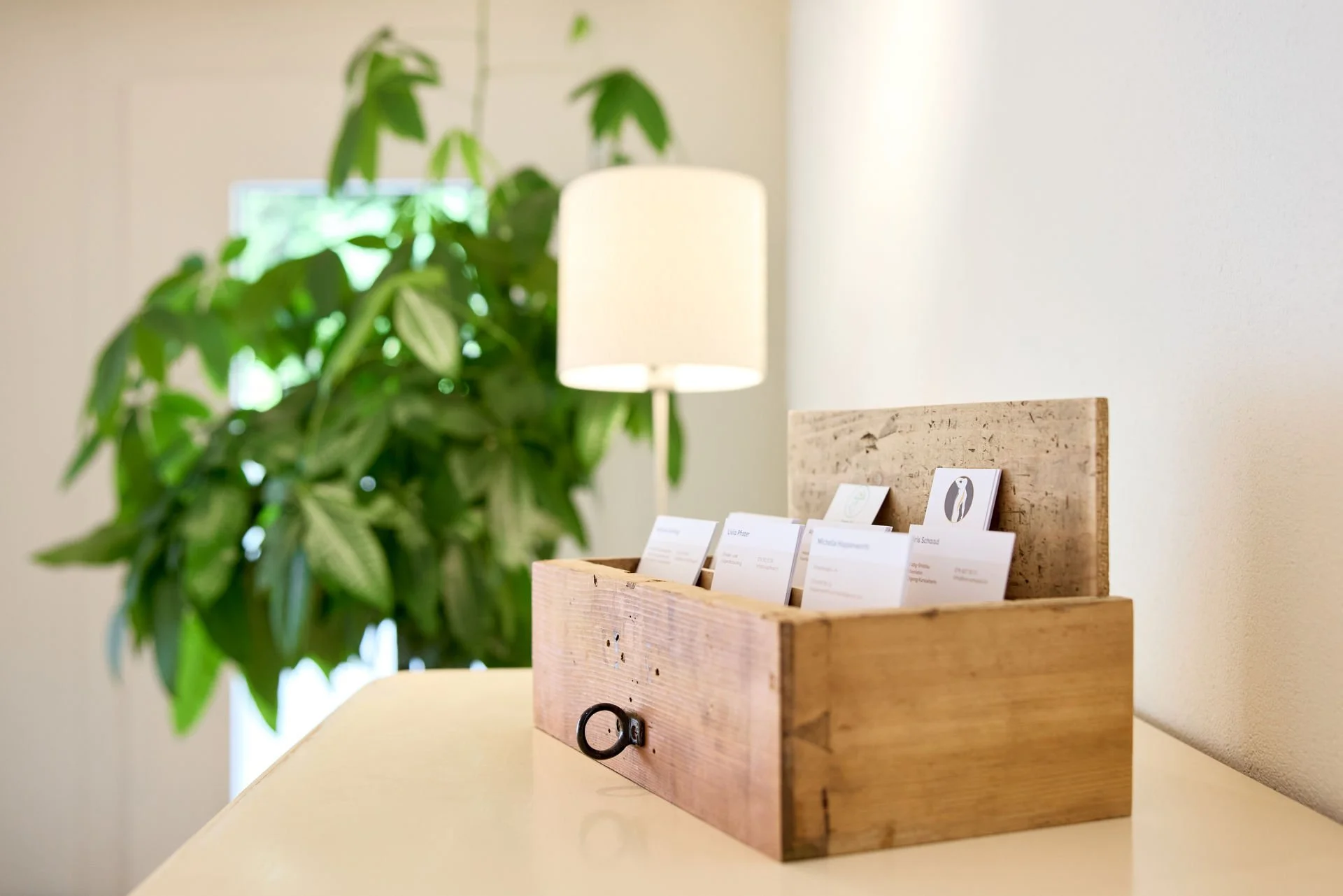 41 - 041gsund7256.jpg