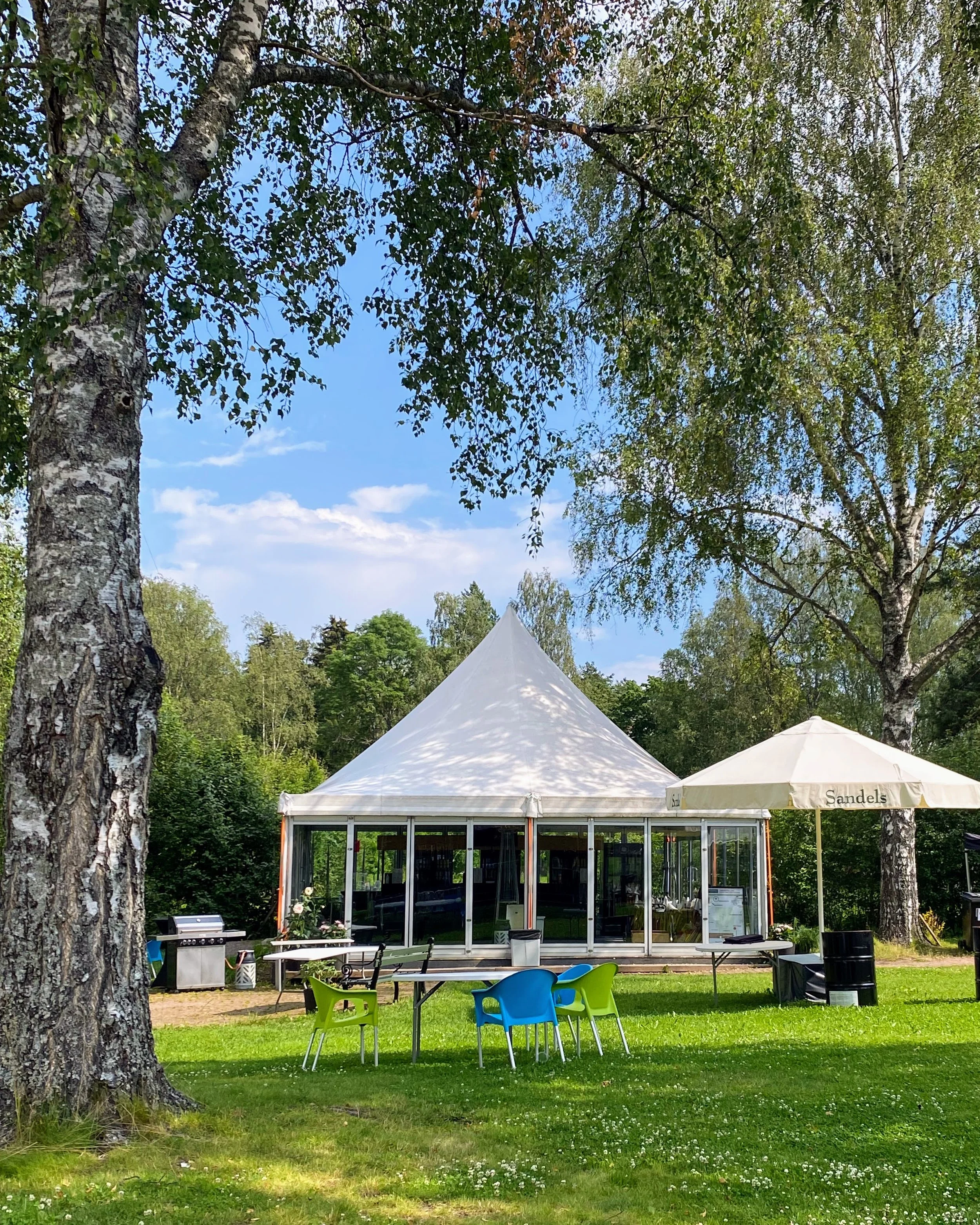 Paviljonki koivut.jpg