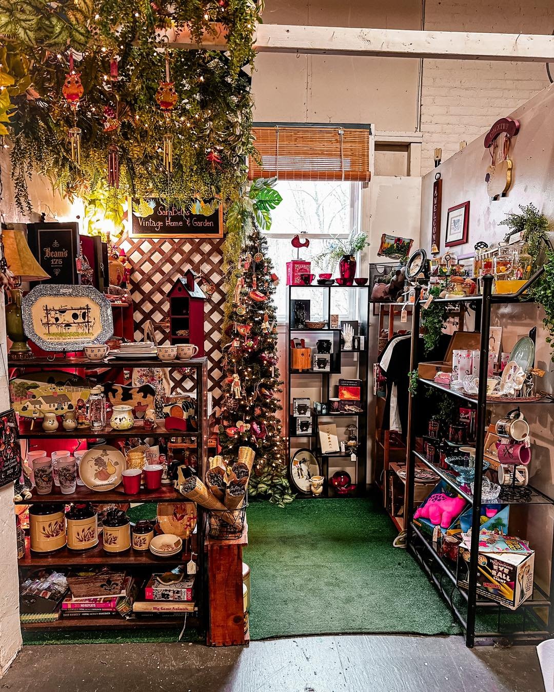 ✨Booth 29✨ Antiques Alley 

After I close up my shop at the end of the month all of my inventory and plants will be heading to my booth at @antiquesalley @stillwaterantiquescenter 🎉🌿

I spent the day on Thursday refreshing and adding so many new it