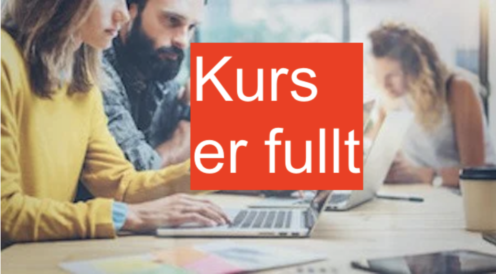 Grunnkurs i etablering 