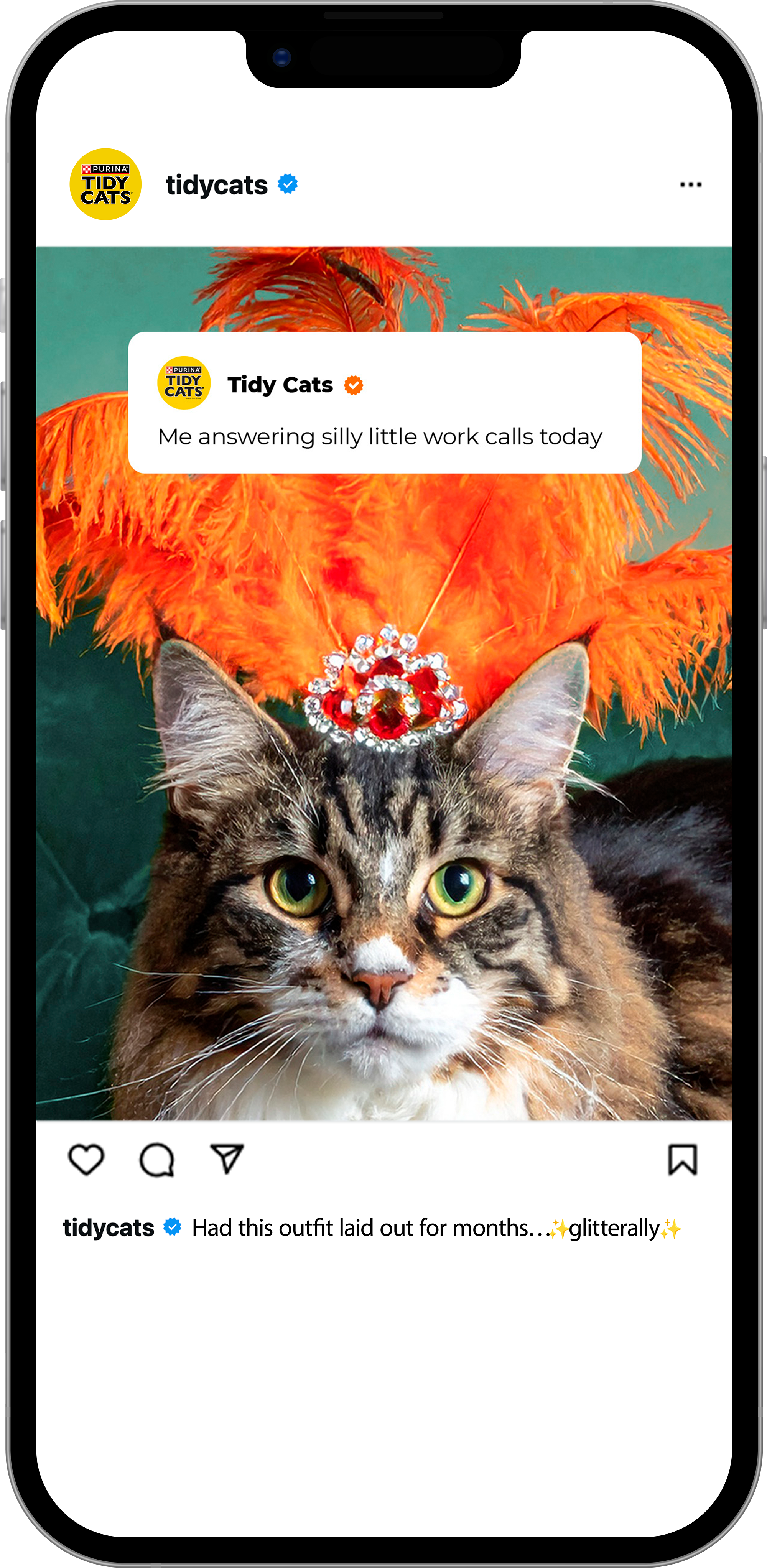 life of a showgirl.png