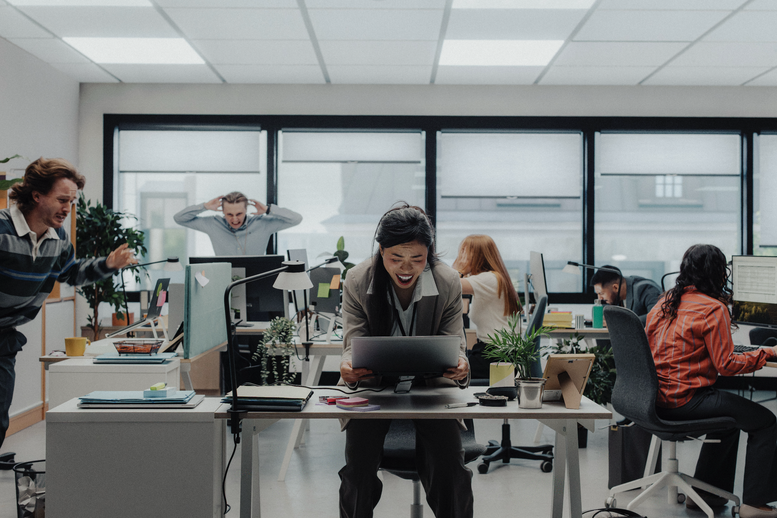 Screenshot 2026-02-23 at 19.03.28.png