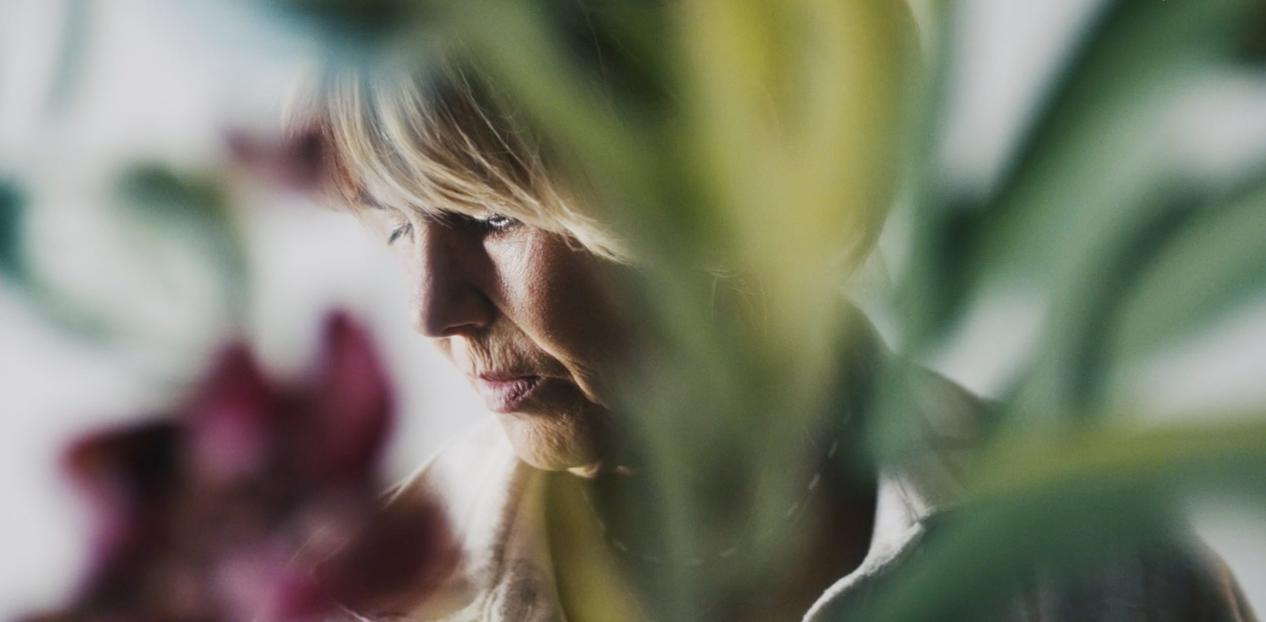 Screenshot 2024-06-10 at 18.51.03.png