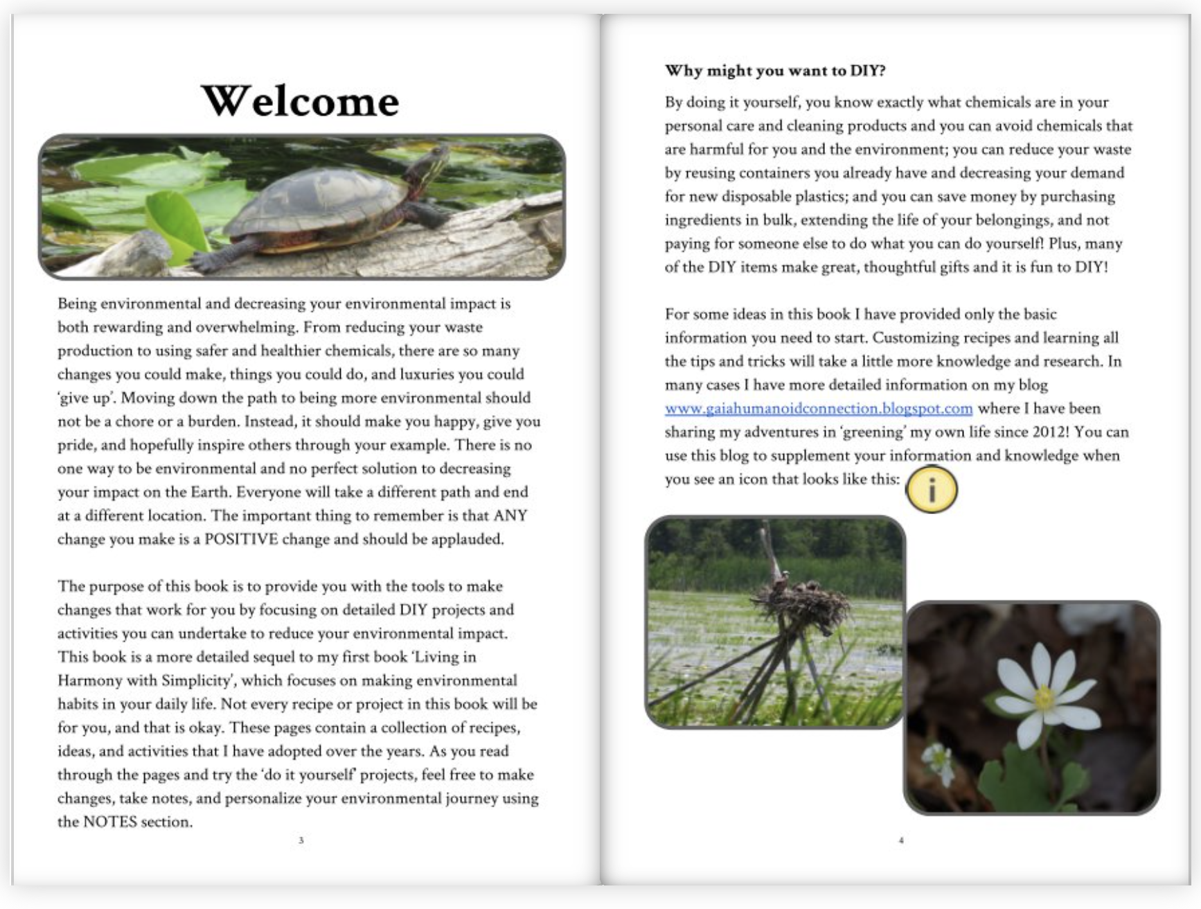 Screen Shot 2021-04-14 at 12.26.17 PM.png