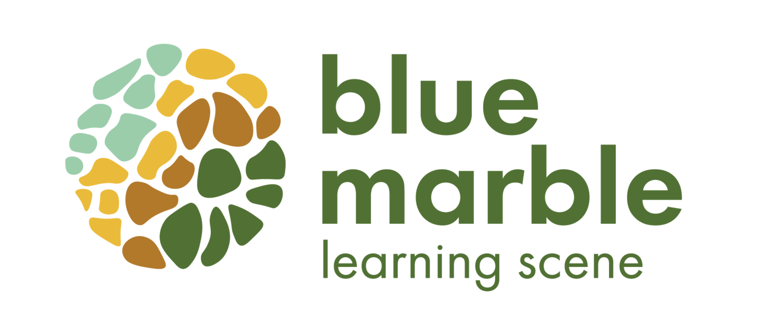 blue marble learning scene