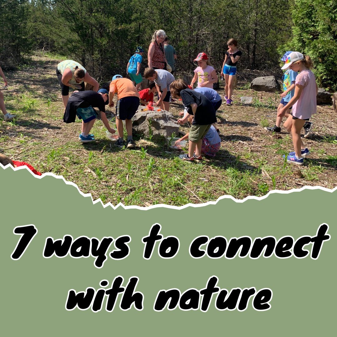 At blue marble learning scene we strive to provide you with different ways to connect with nature. 

Our resources are for all ages, individuals, families, groups ... everyone! 

From nature kits, crafts, bookable hands-on in-person activities to edu