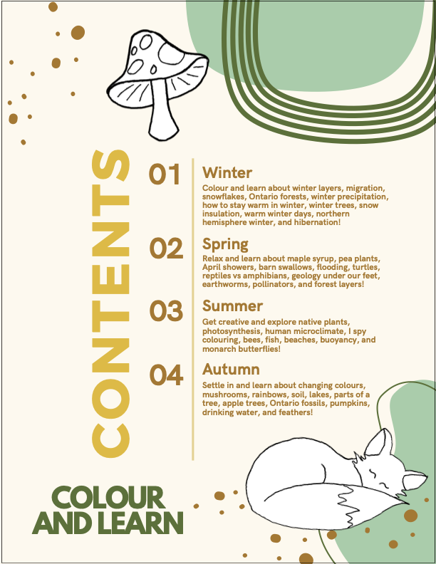 contents.png