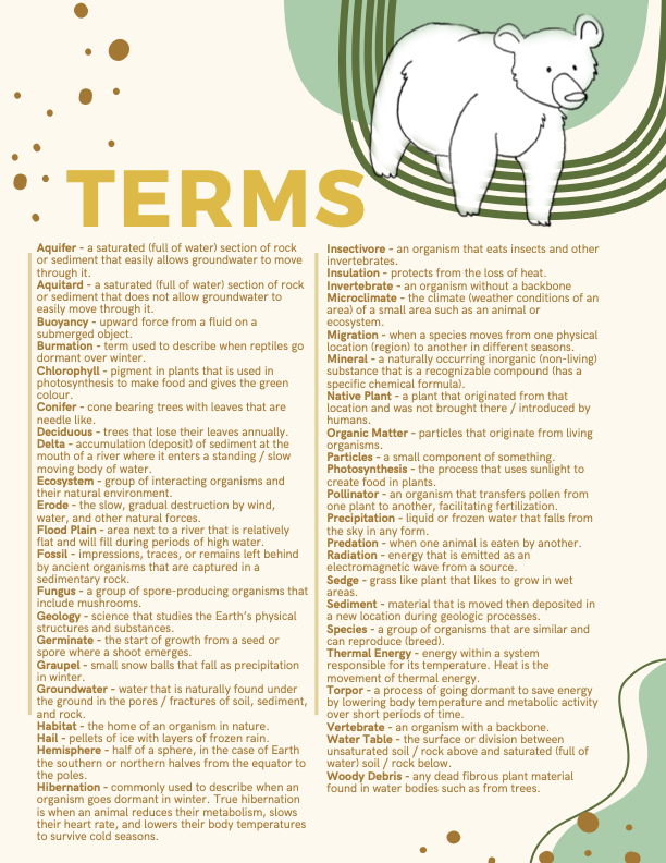 terms.png