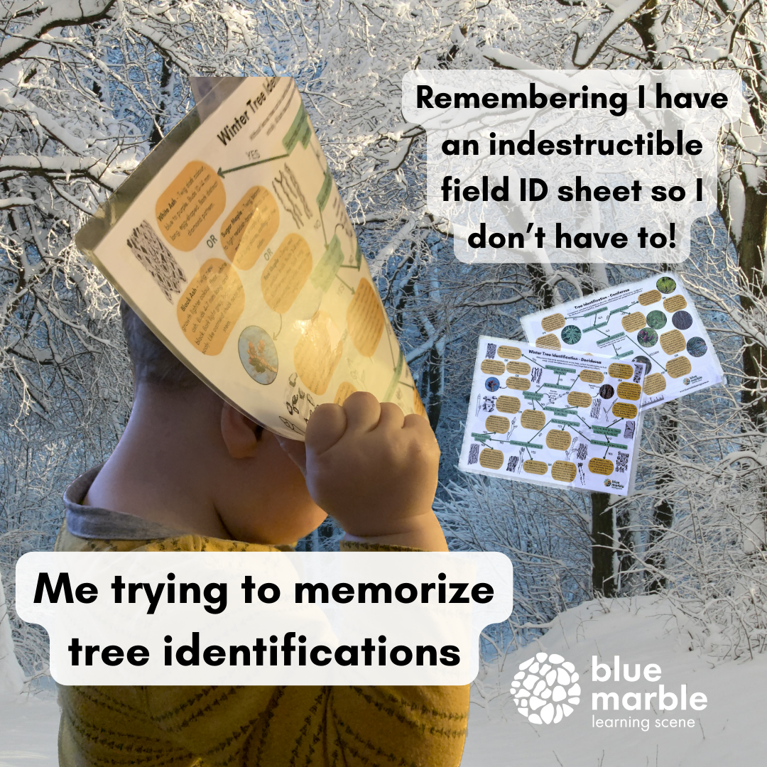 Random square images 3.PNG