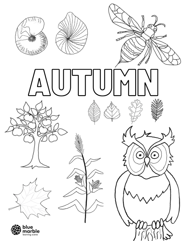 autumn.png