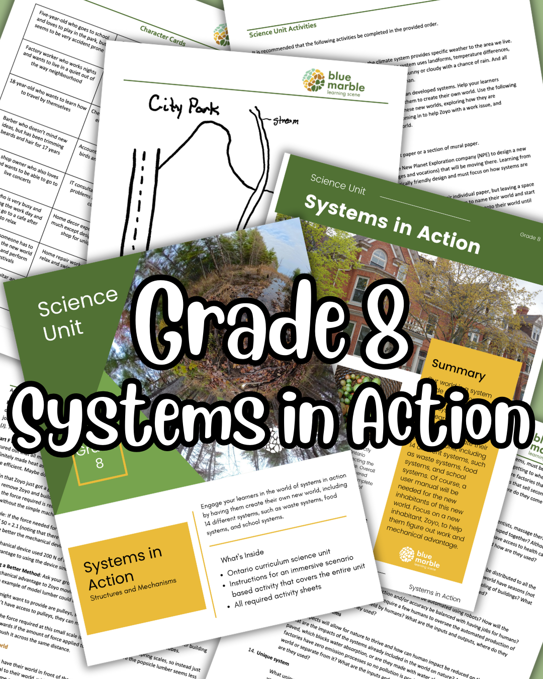 Grade 8 Systems in Action - 2022 Updated!