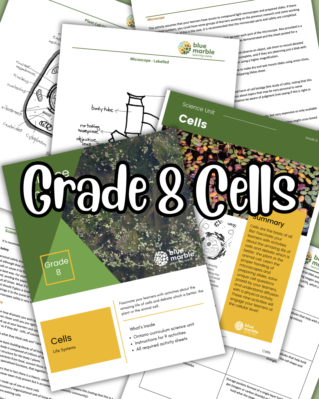 Grade 8 Cells - 2022 Updated!