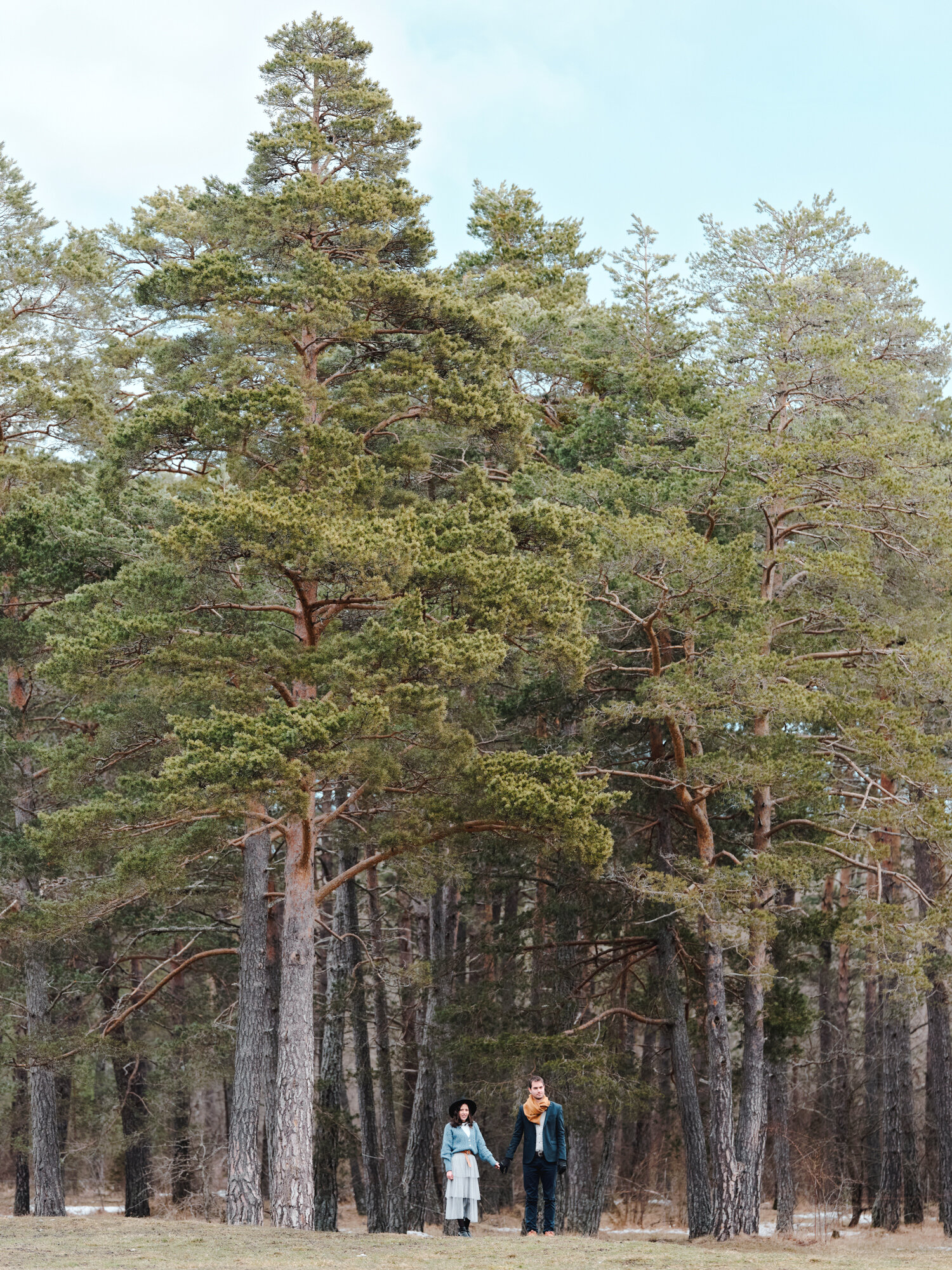 DSCF1016.jpg