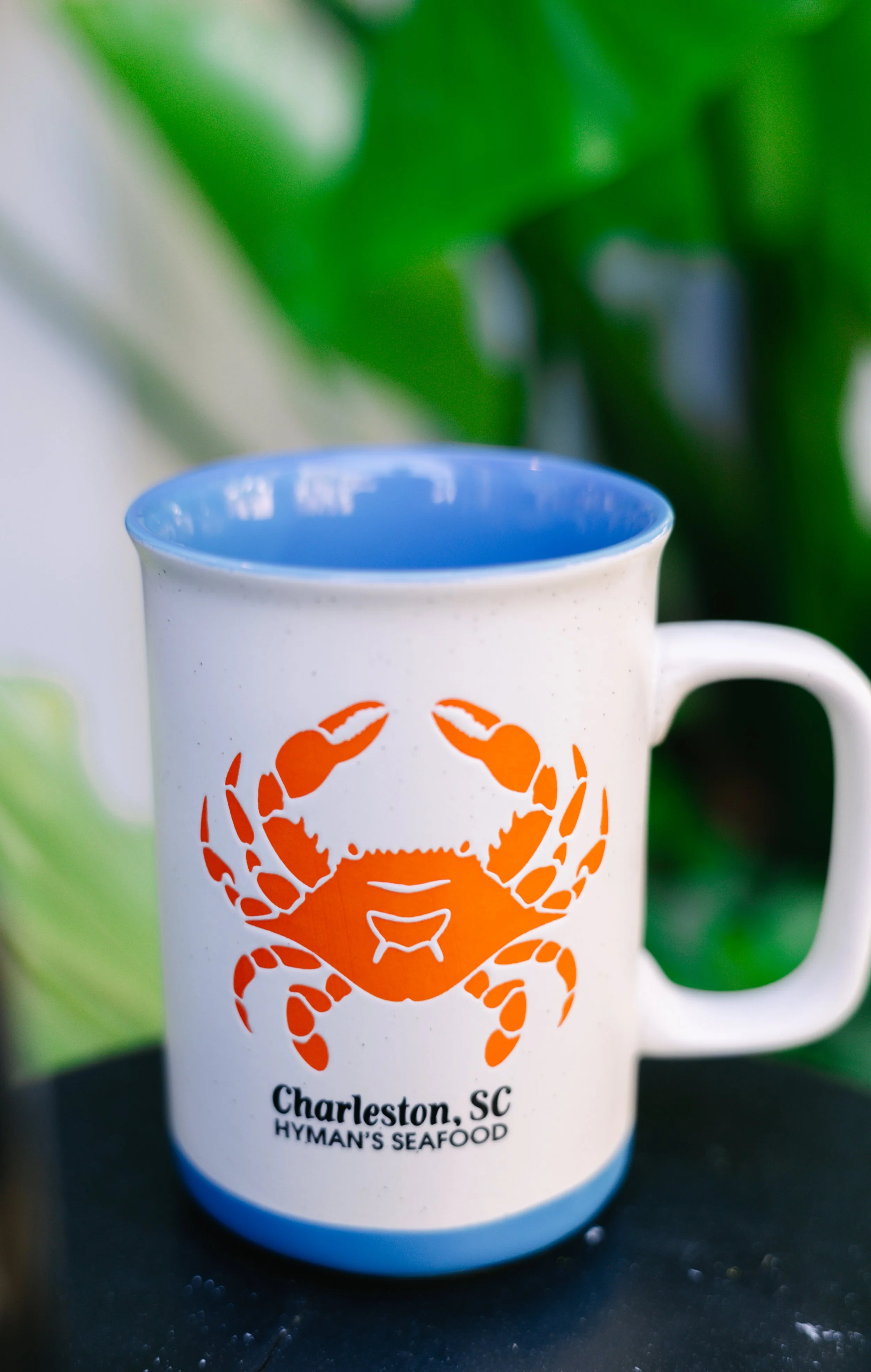 Mug: Charleston, SC