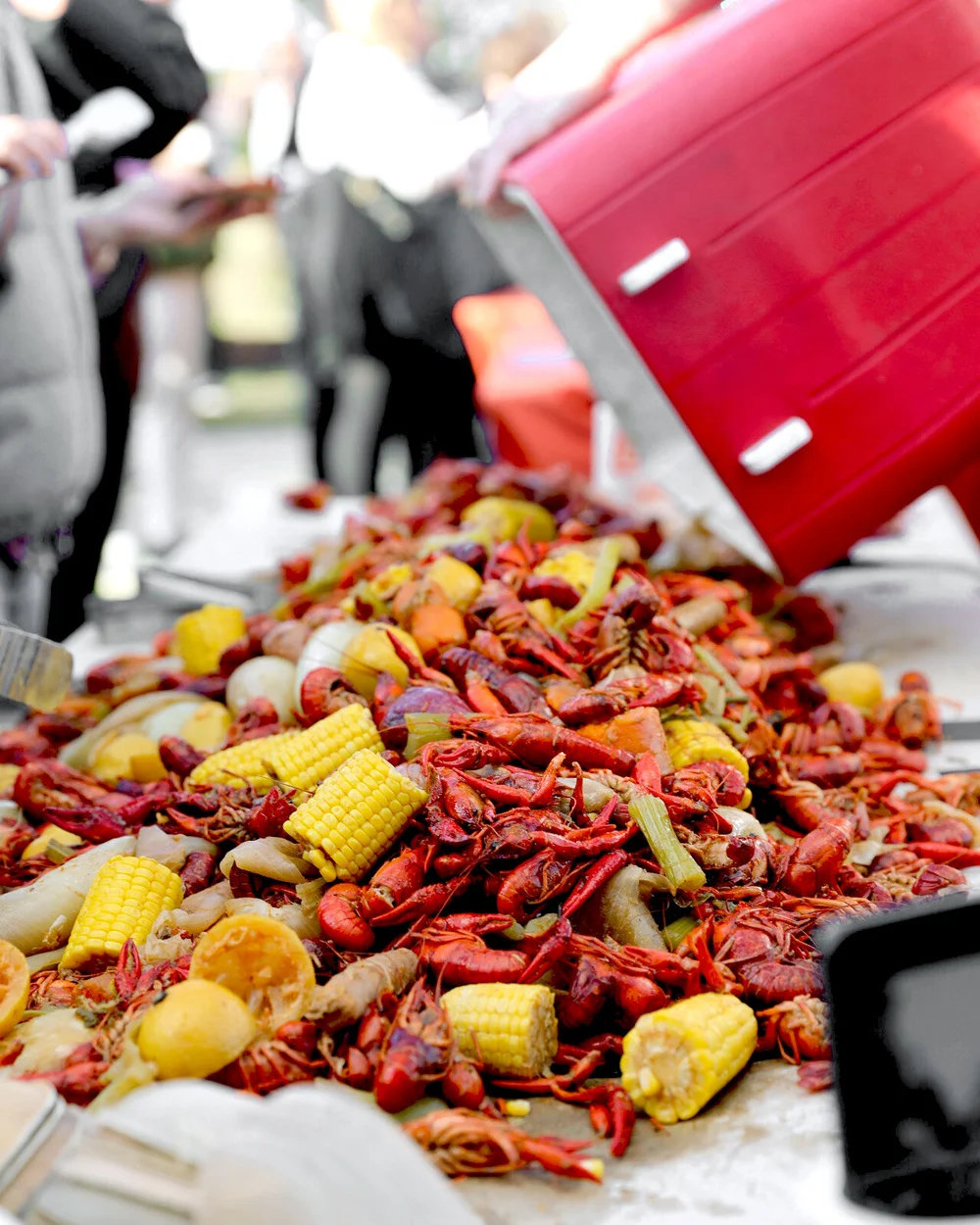 Seafood boil with snow crab, mussels, shrimp and corn
