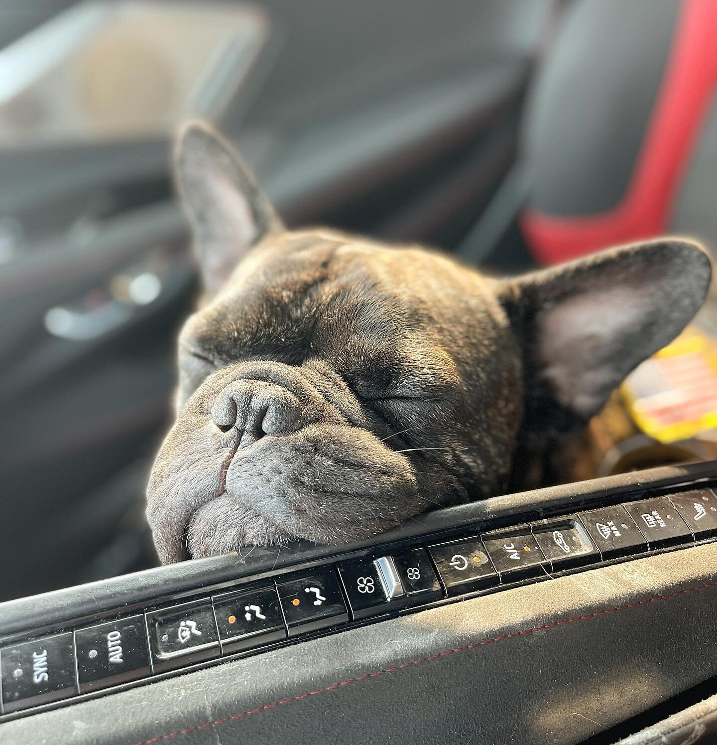 Dreaming of donuts 🍩🍩🍩 🤤