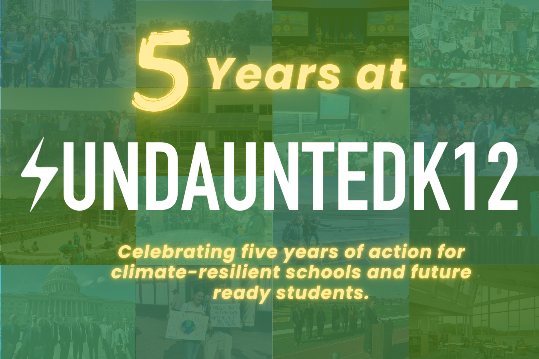 Celebrating 5 Years of Impact