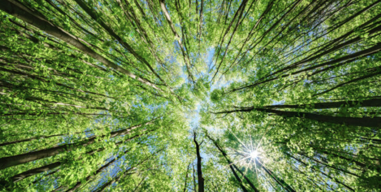 How the Seal of Climate Literacy can help California graduates