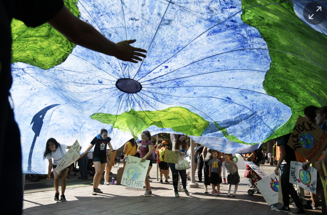 In an age of climate disaster, more states offer students a way to show they are ‘climate literate’
