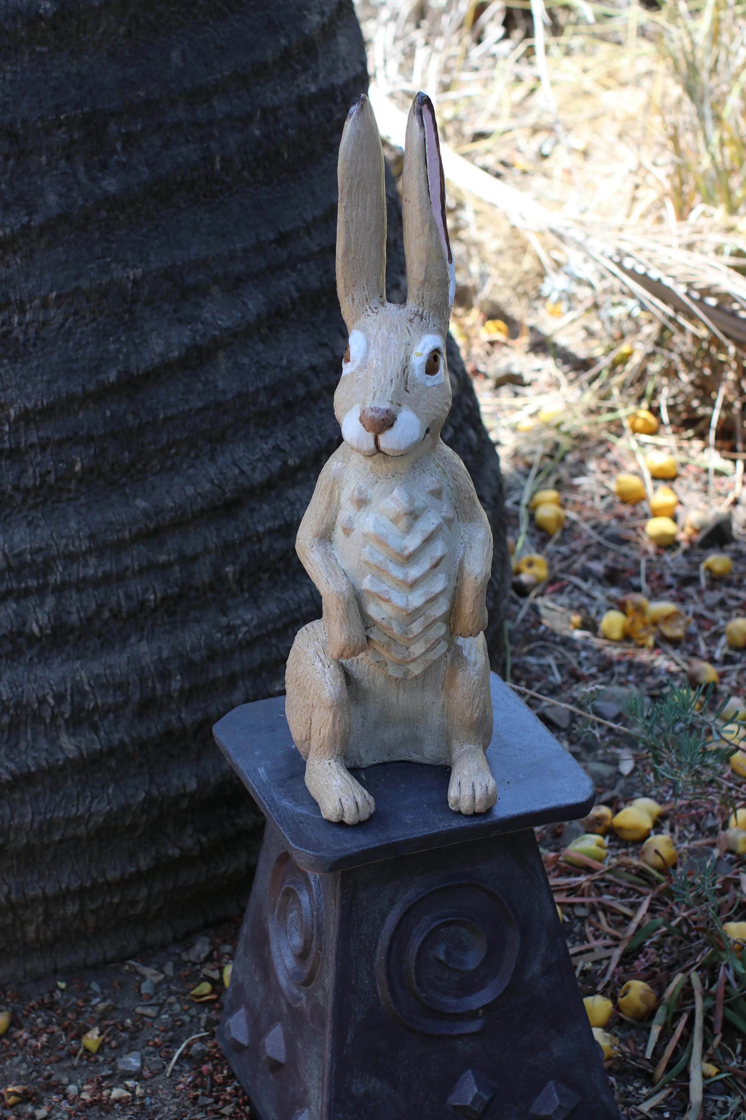 Sentinel #1 - Jeanette Morrow -Ruth Bancroft Garden
