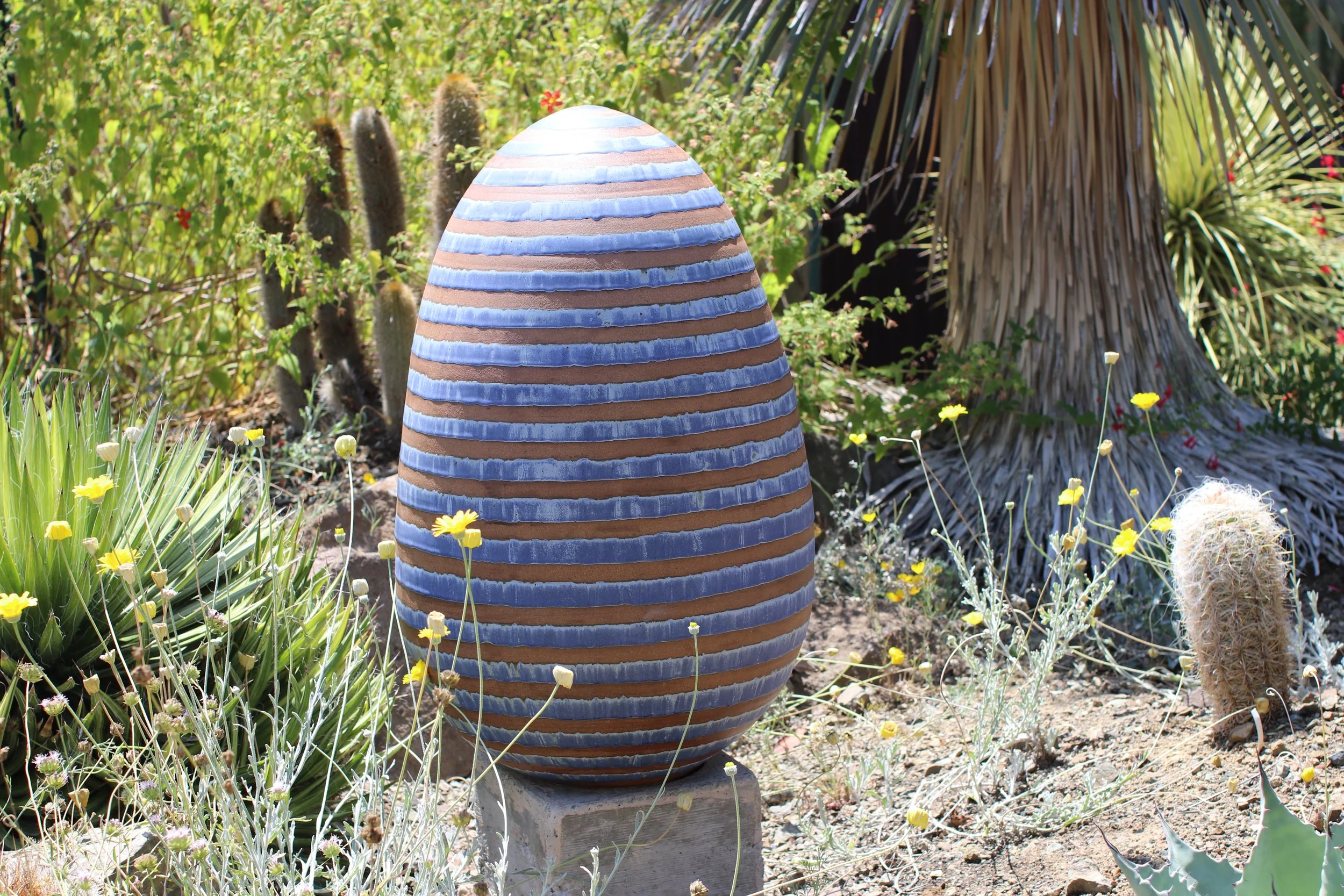 Blue Stripe Egg - Jacob Miller - Ruth Bancroft Garden