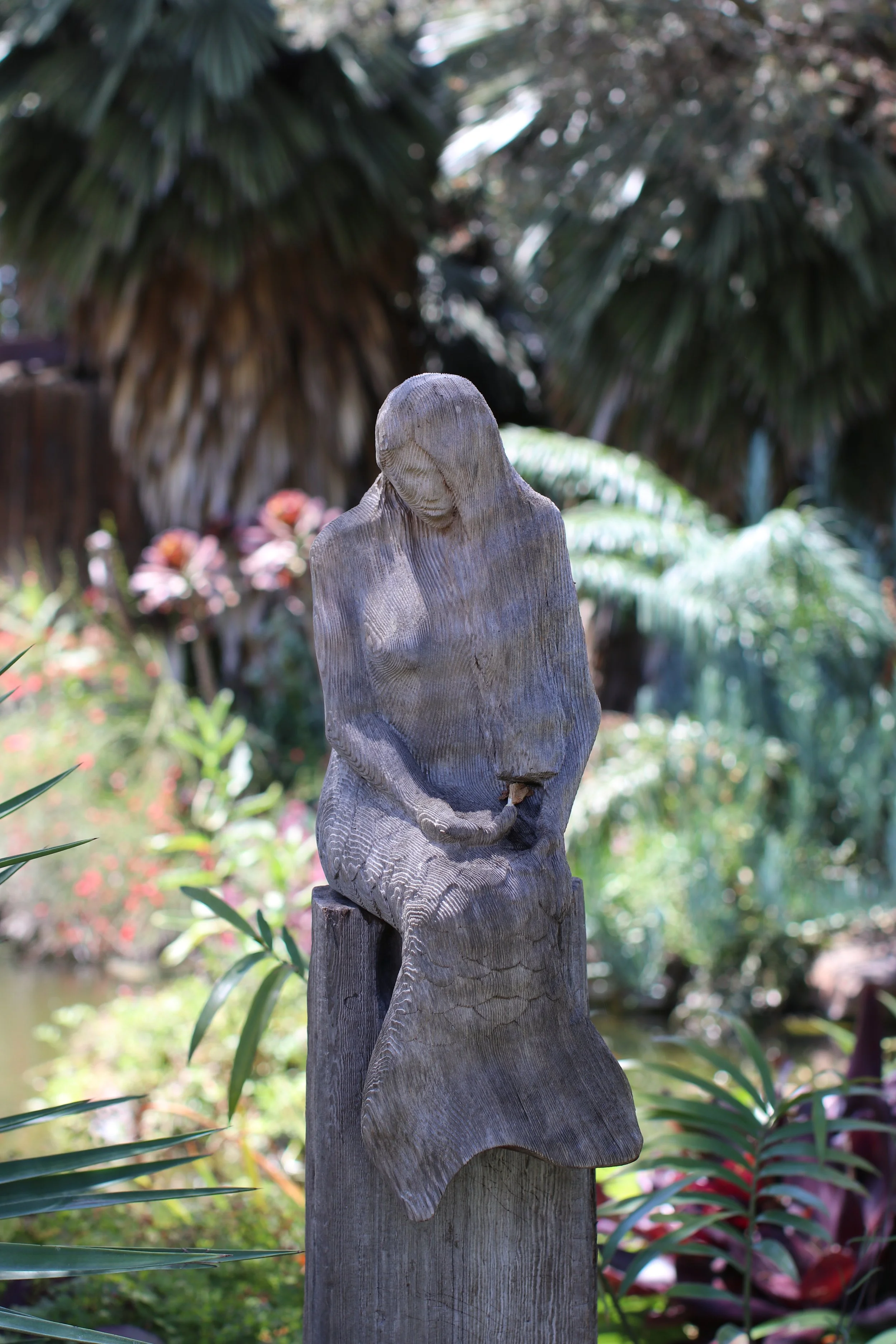 Sea Maiden - Jeff Hanck - Ruth Bancroft Garden