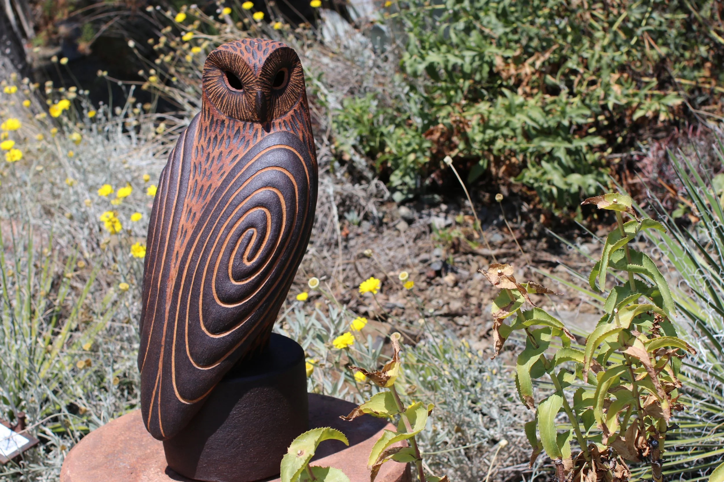 Wisdom Owl Perched on a Pedestal - Clayton Thiel - Ruth Bancroft Garden