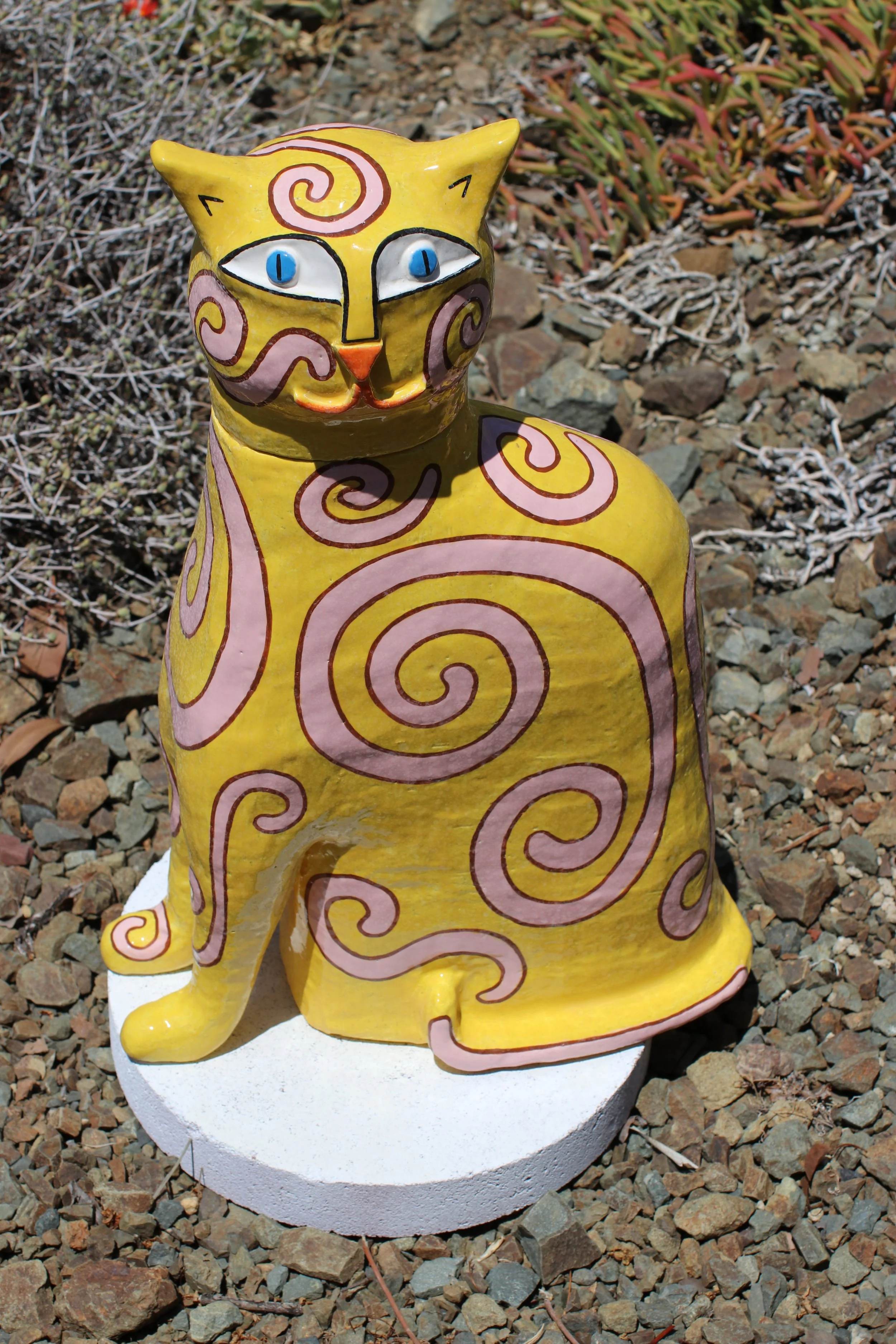 Yellow Side Cat - Leslie Sefarik - Ruth Bancroft Garden