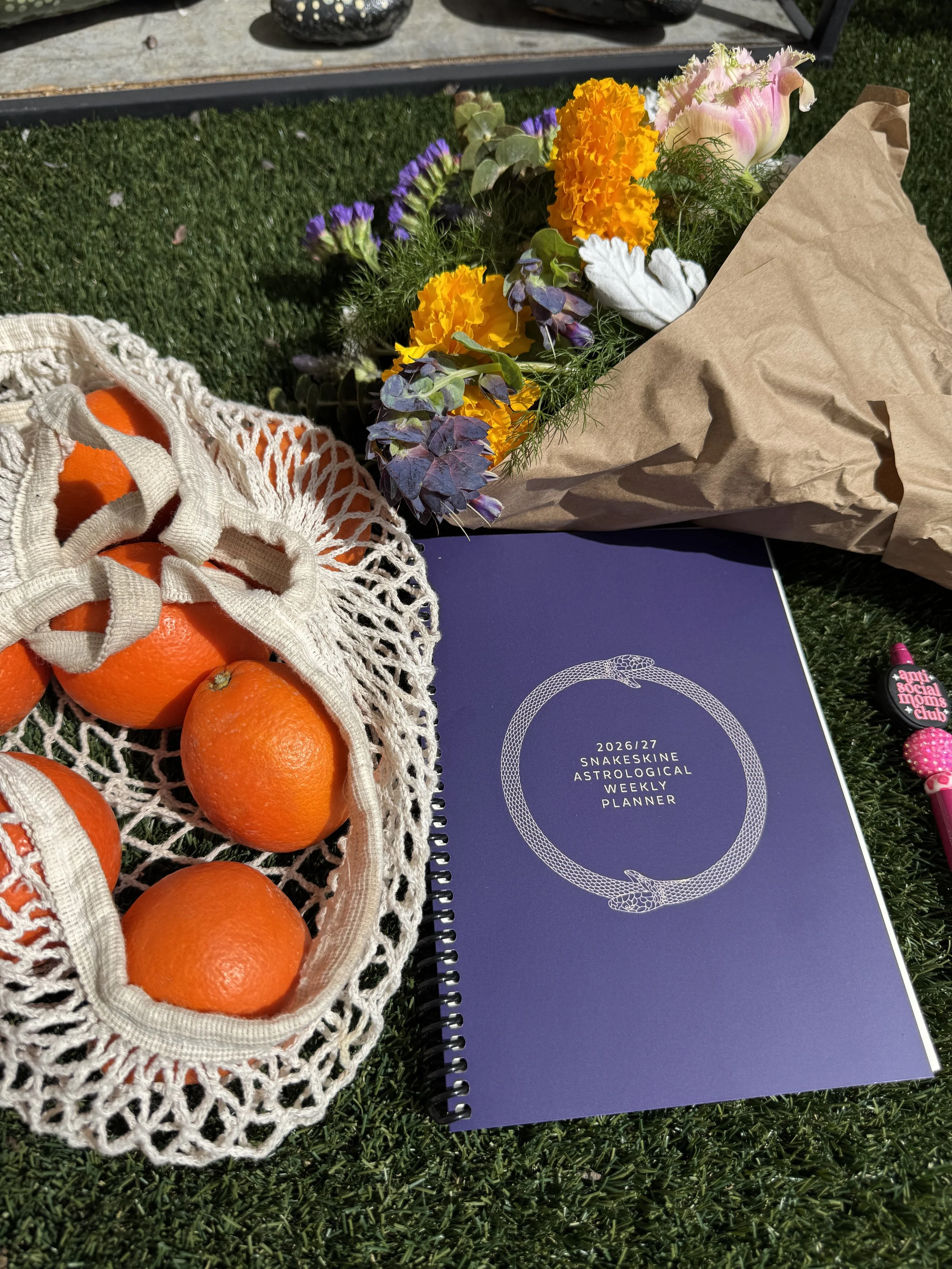 Astrological Snakeskine Planner - 2026