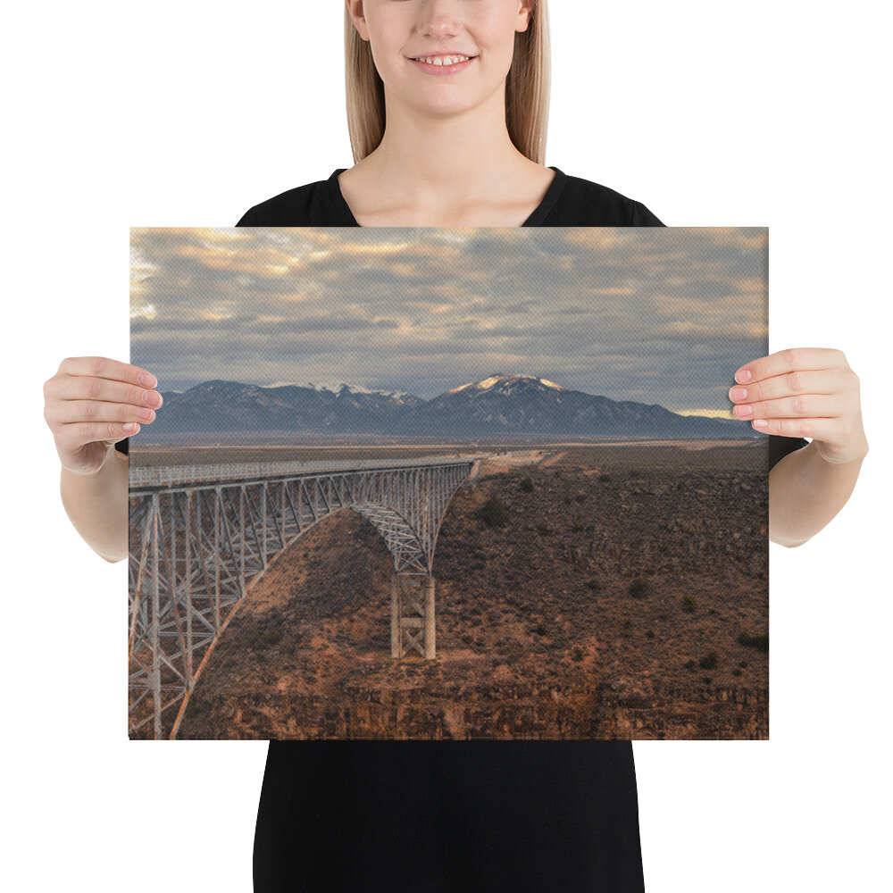 canvas-(in)-16x20-5fd96259e2cdc.jpg