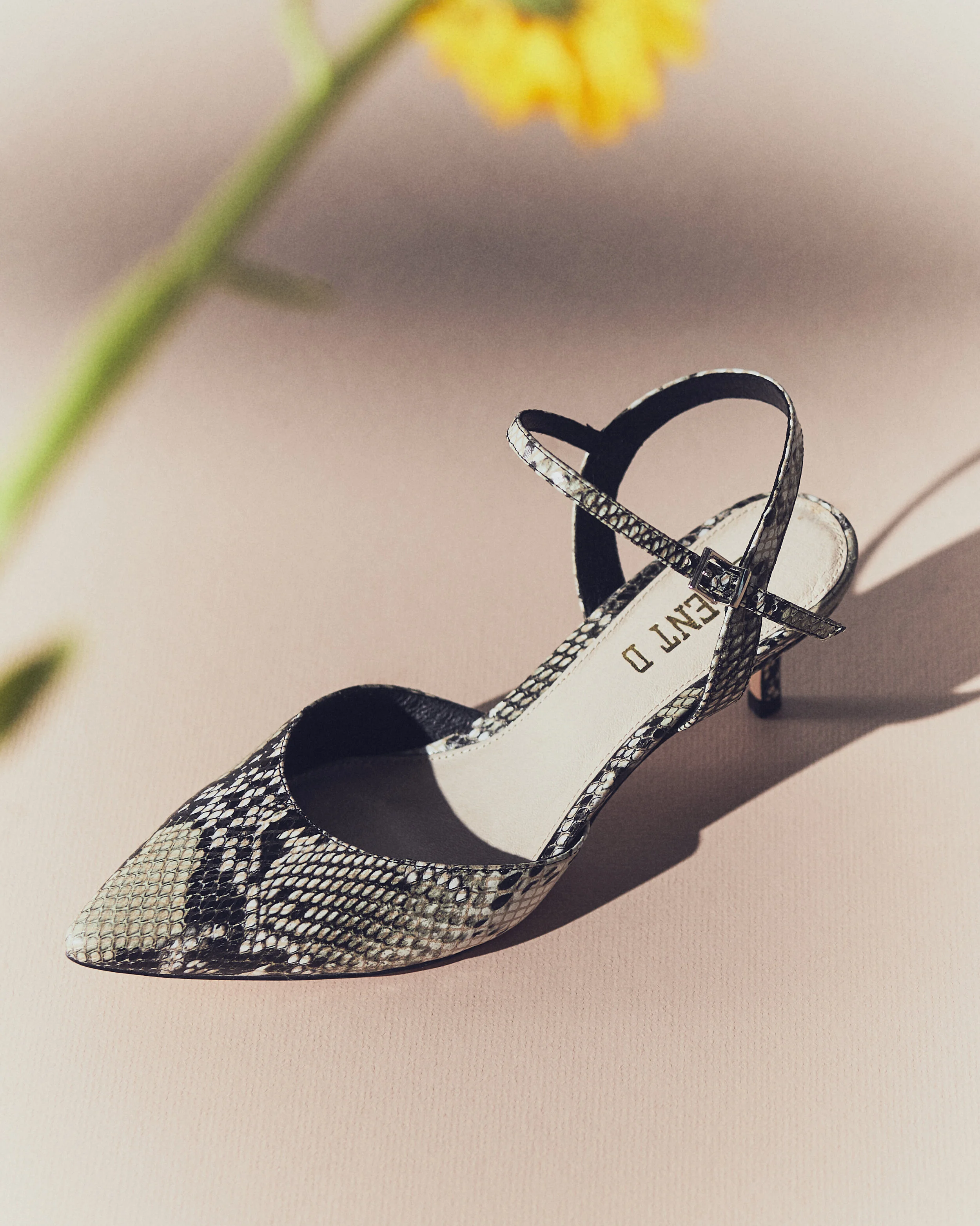 ANTAUG19_MAILER_SHOES_0107_post_PD4x5.jpeg