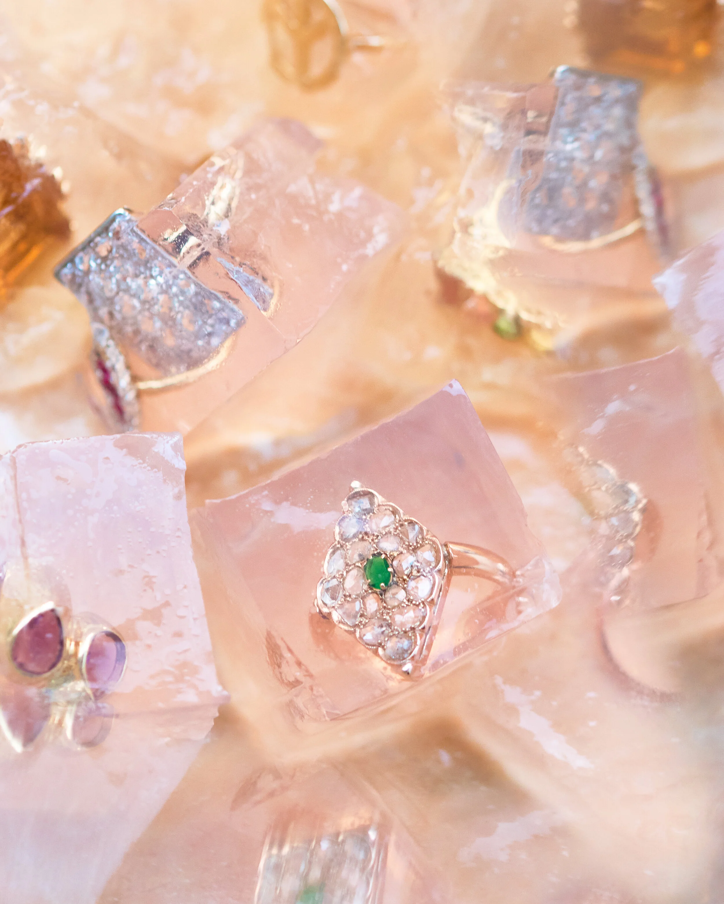 JELLO JEWELS | F&B 2020 