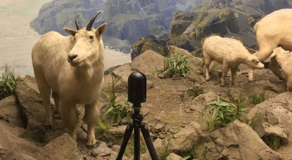 Using Leica Scanner BLK 365 to scan the diorama