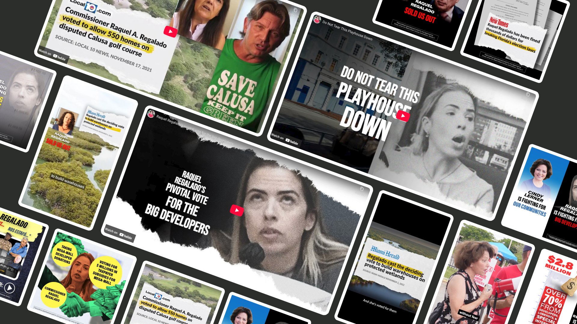 Project: Holding the Line — Cindy Lerner for County Commission, District 7