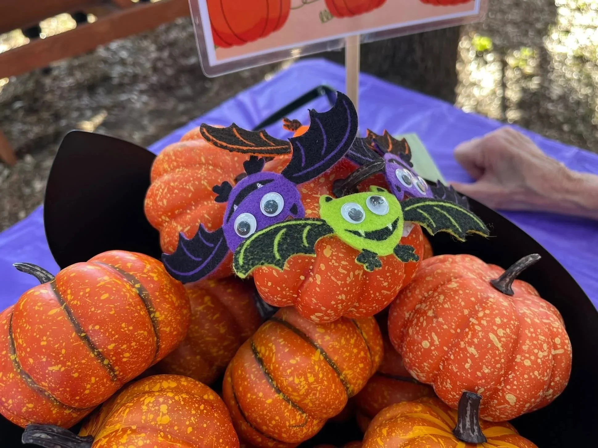 Fall Fun Fest