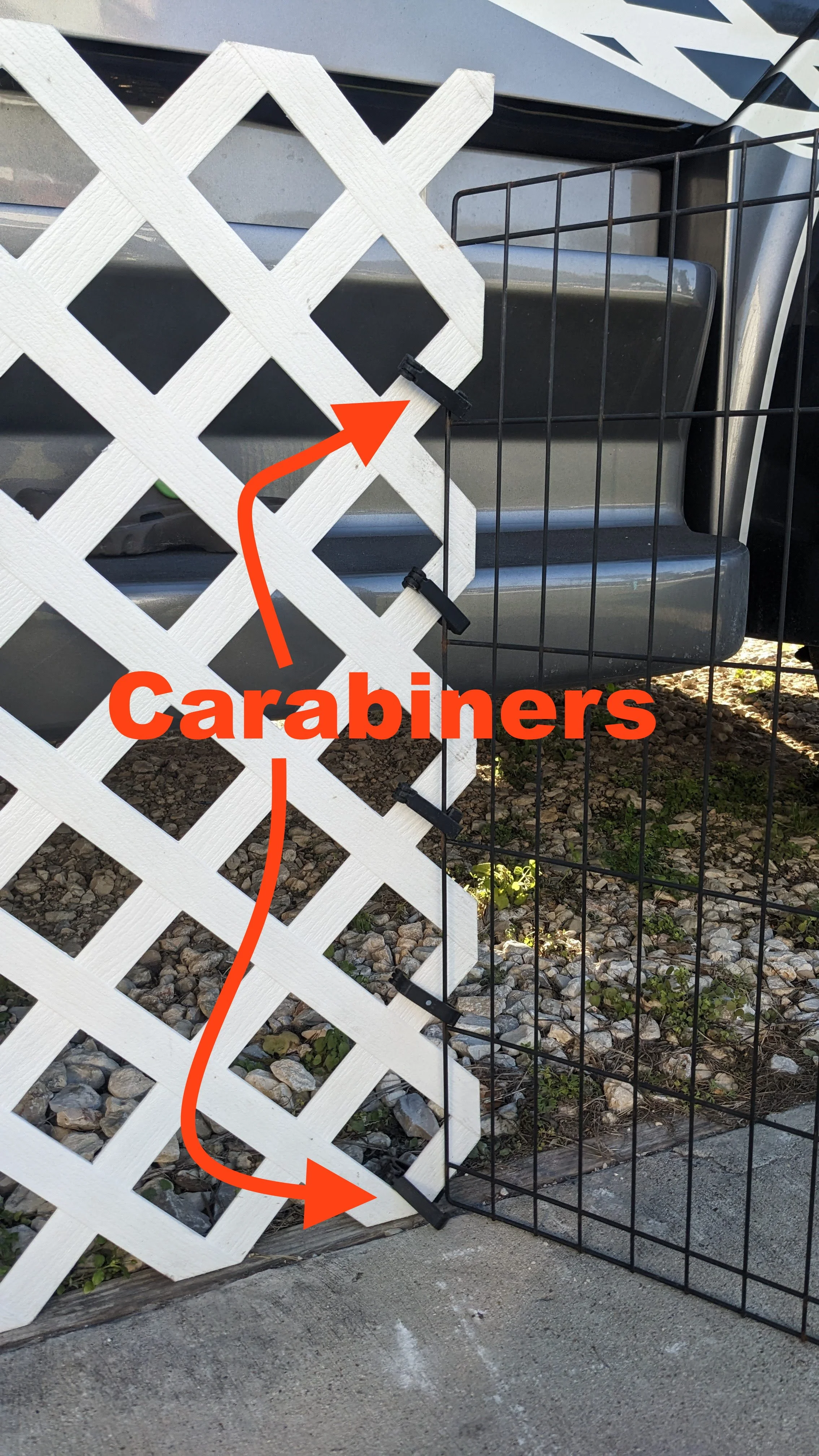 15 Tips, Trick & Lessons for RVing with Dogs — Class C Broads